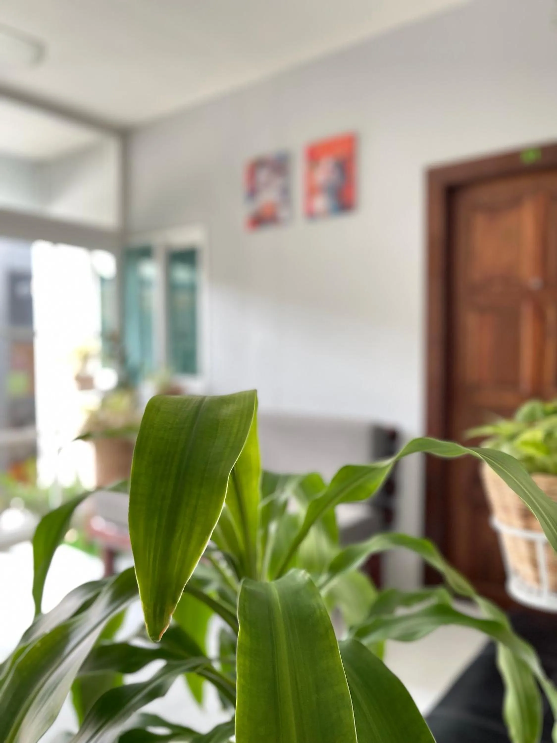 Living room in Good 9 at Home