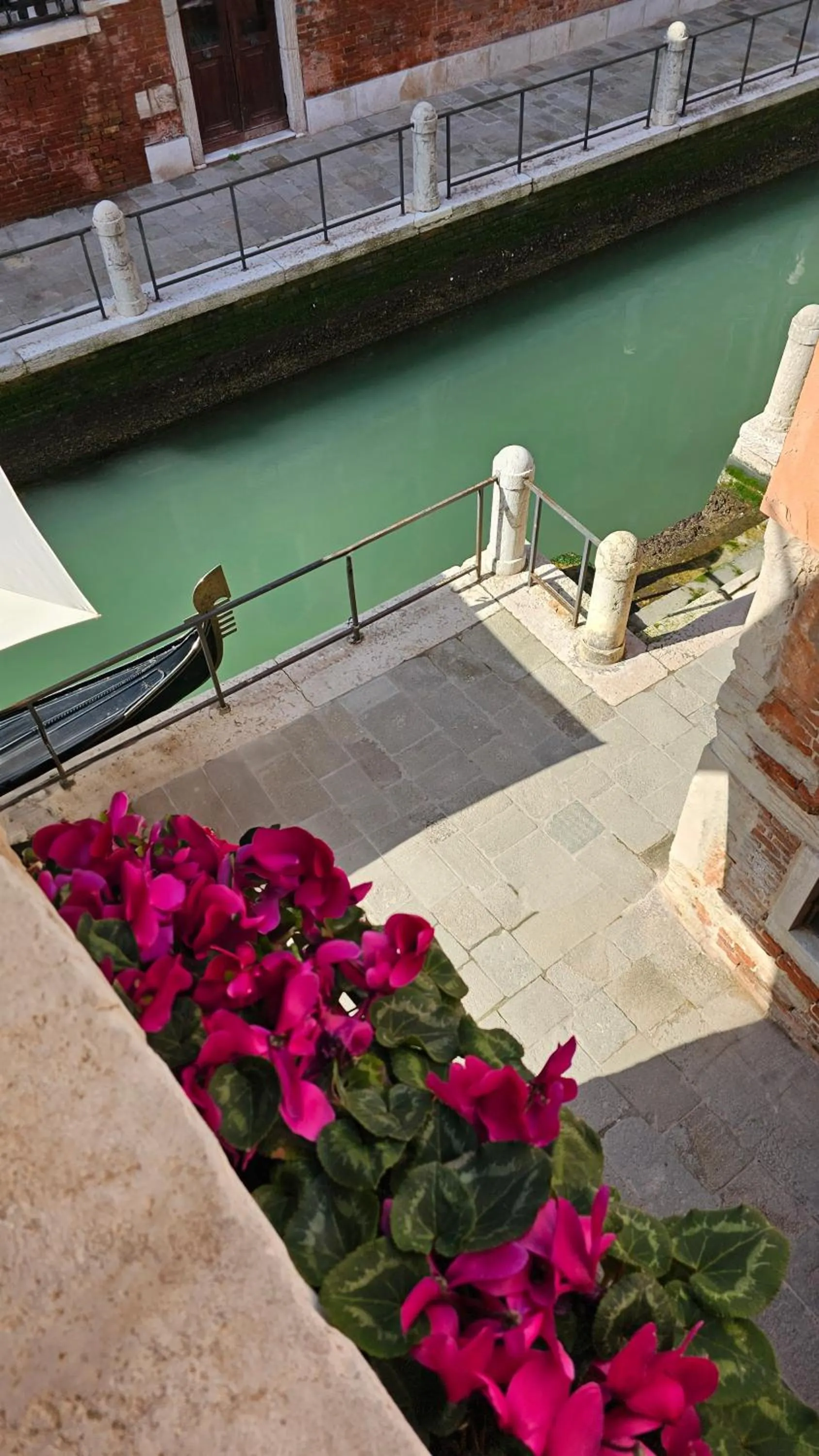 View (from property/room) in Hotel Messner