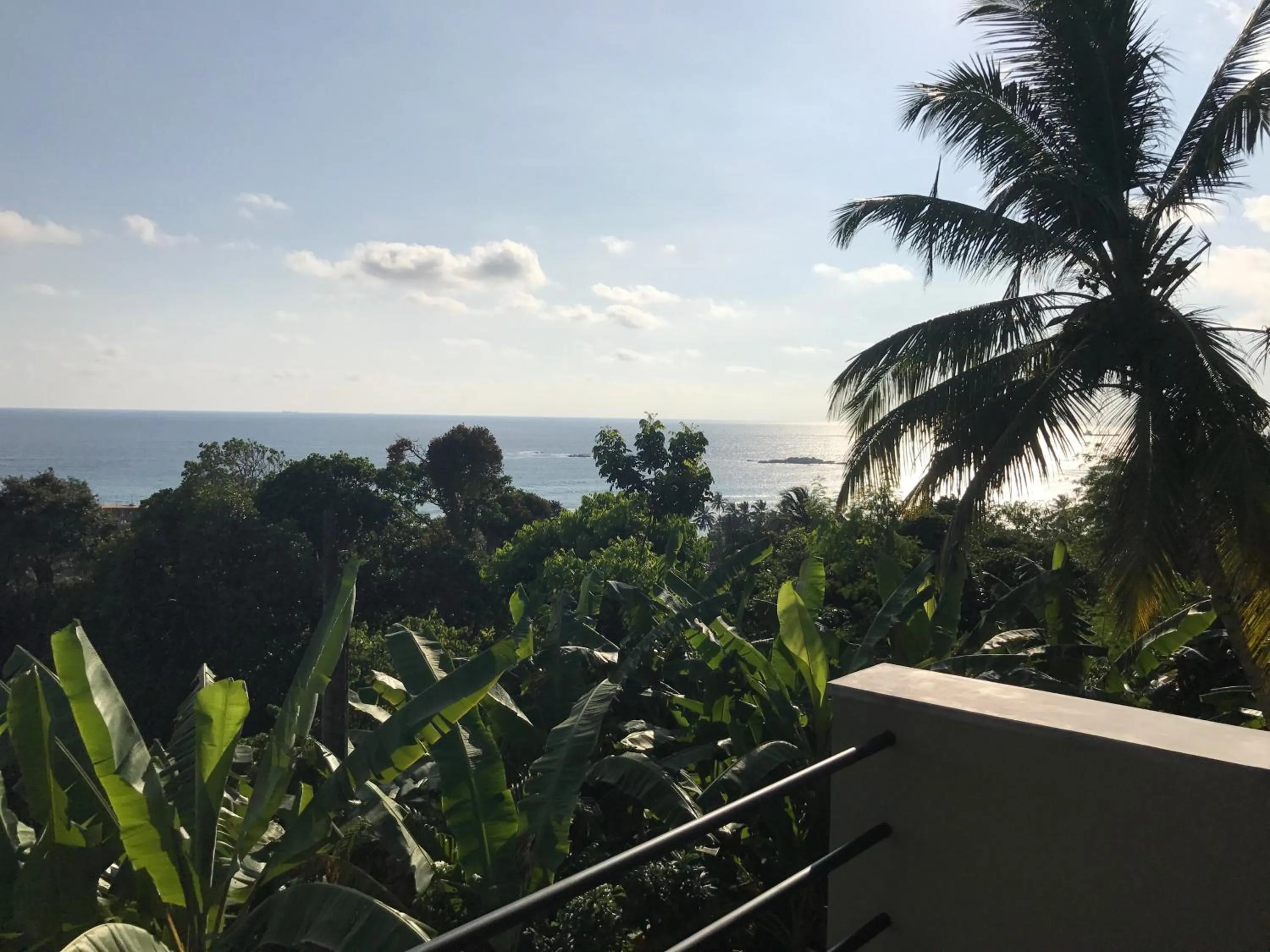 Garden in Lara's place