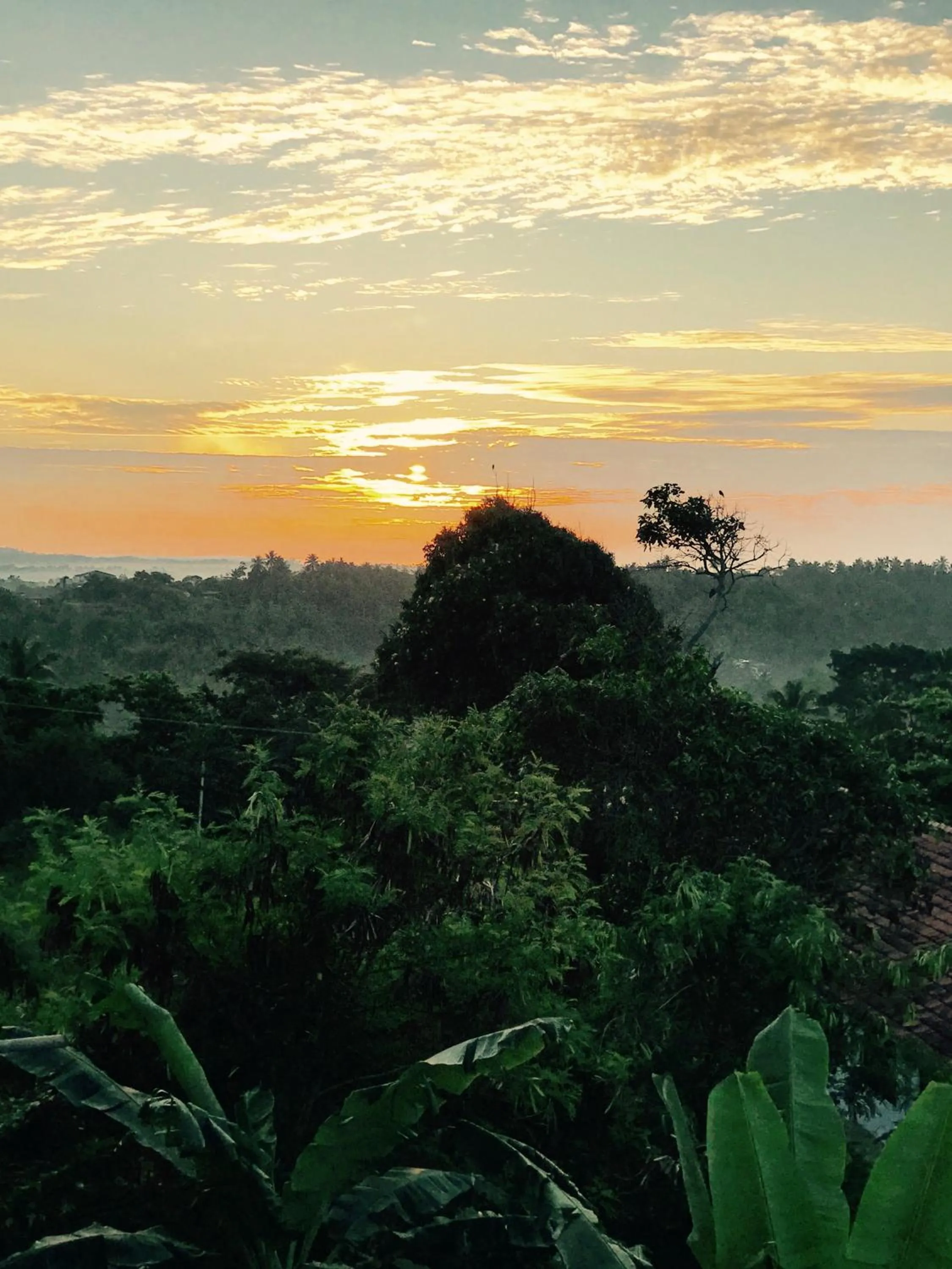 Mountain view in Lara's place