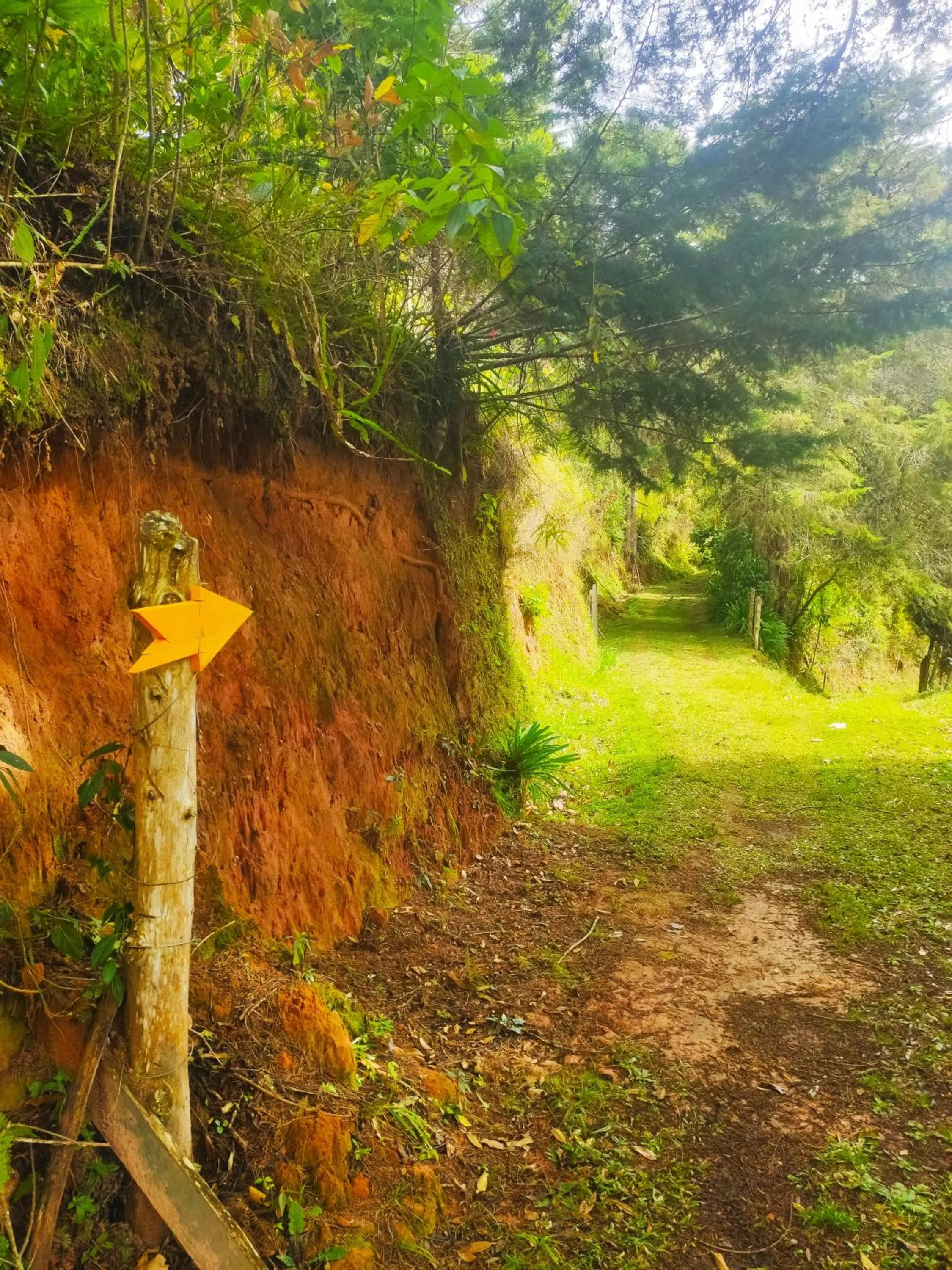 Hiking in Colônia SAA