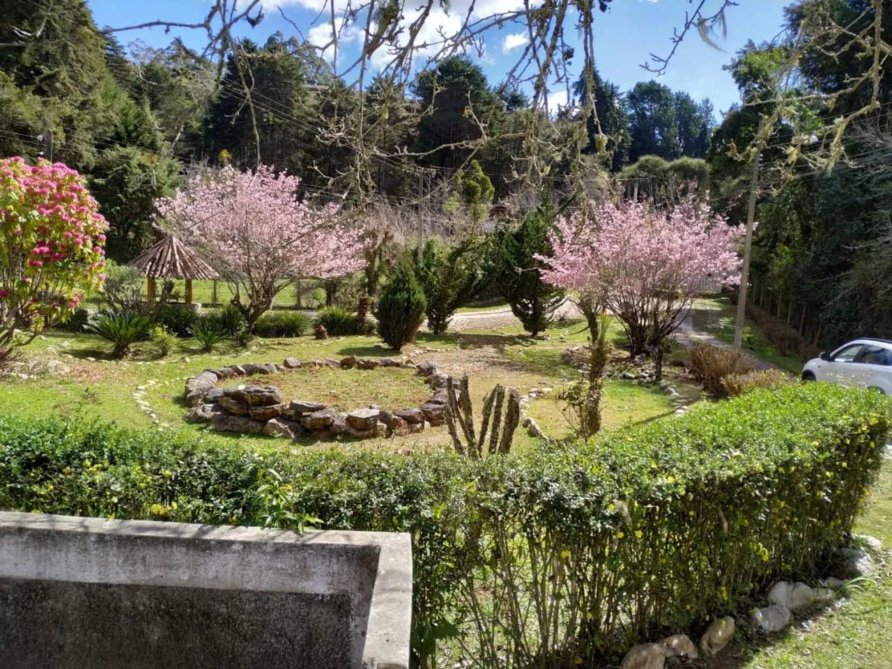 Garden in Colônia SAA