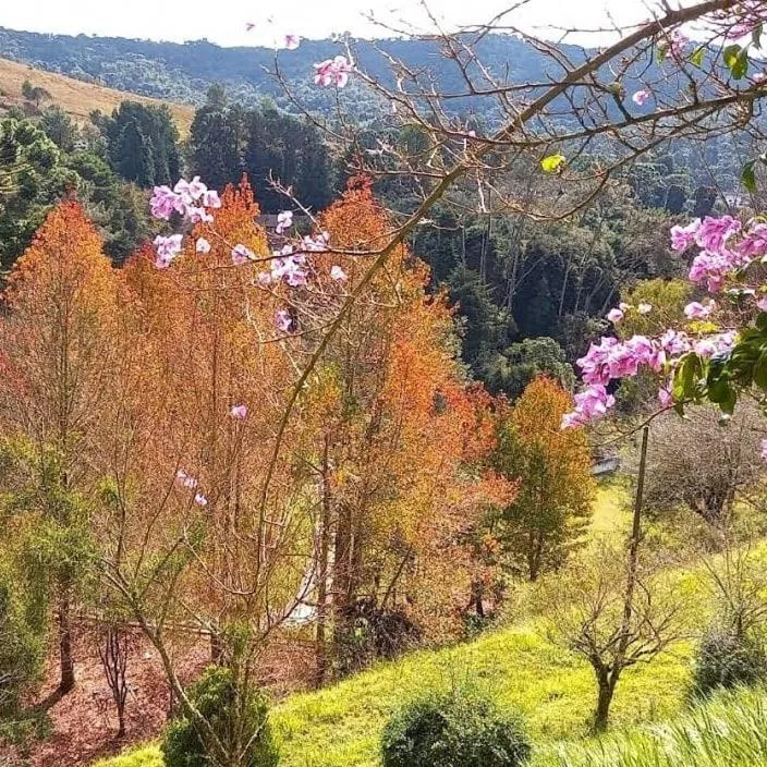 Natural landscape in Colônia SAA