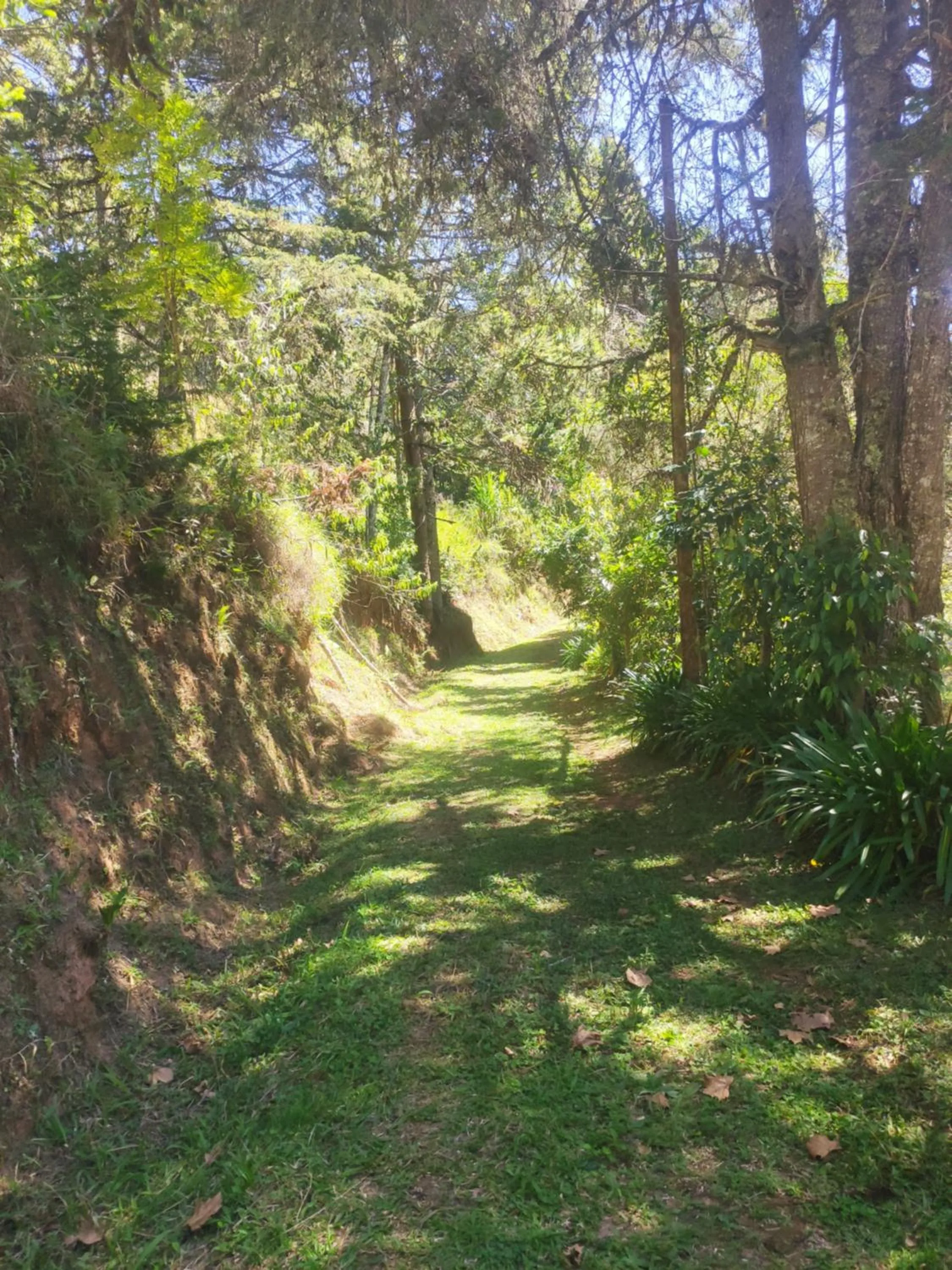 Hiking in Colônia SAA