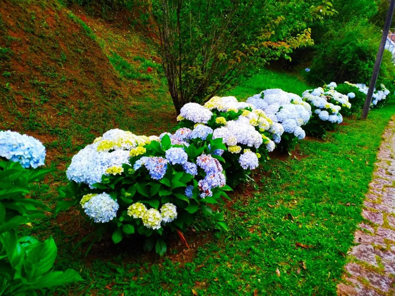 Natural landscape in Colônia SAA