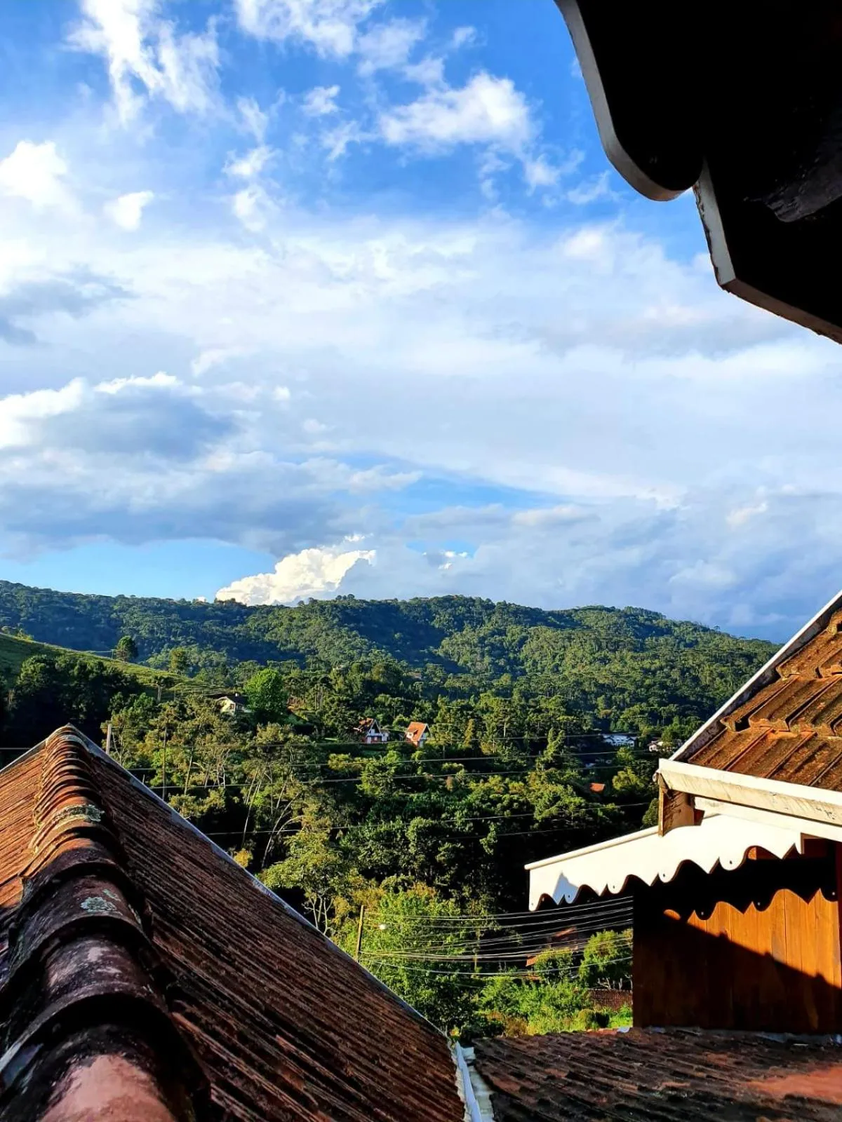 View (from property/room) in Colônia SAA