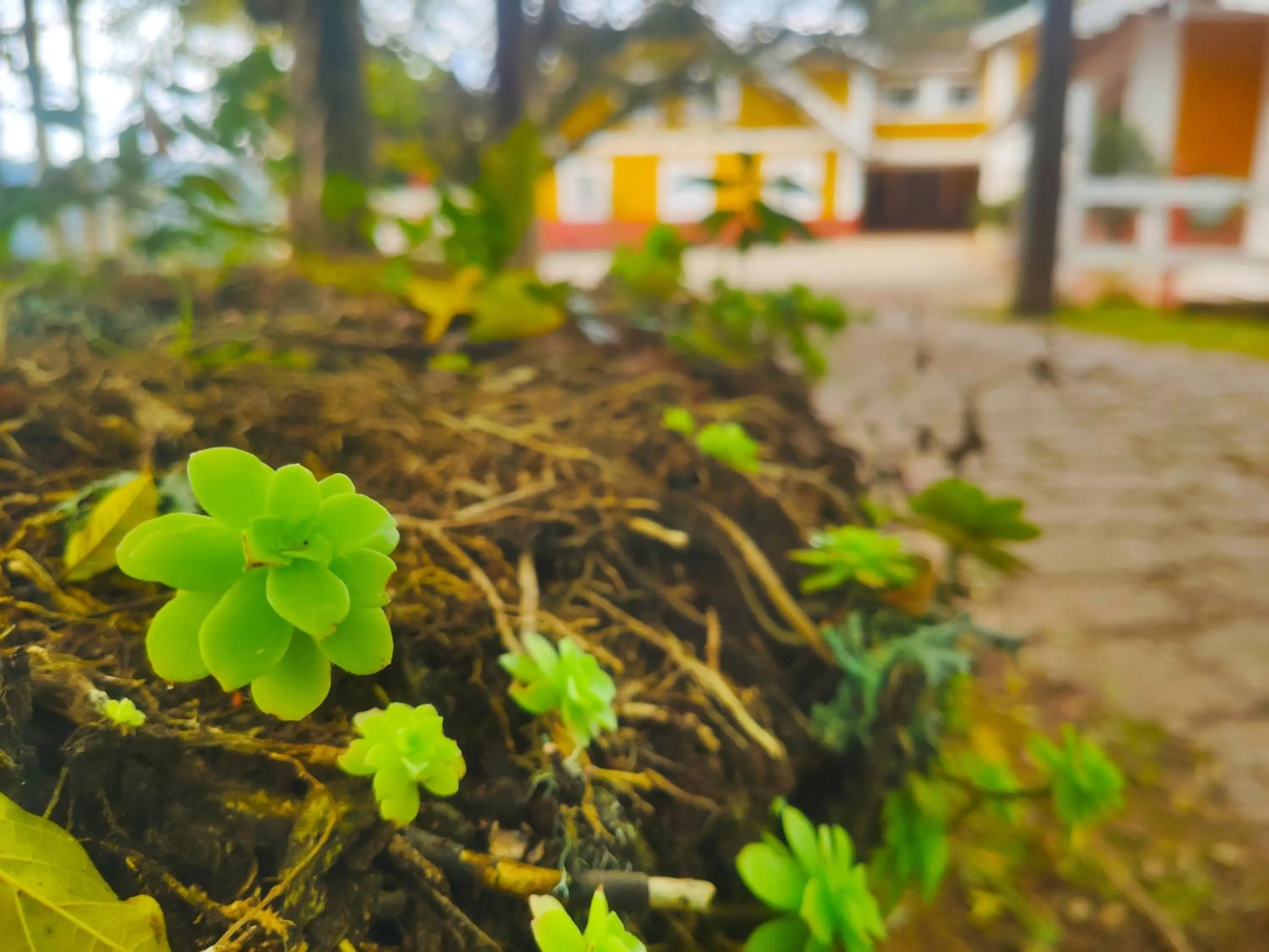 Property building in Colônia SAA