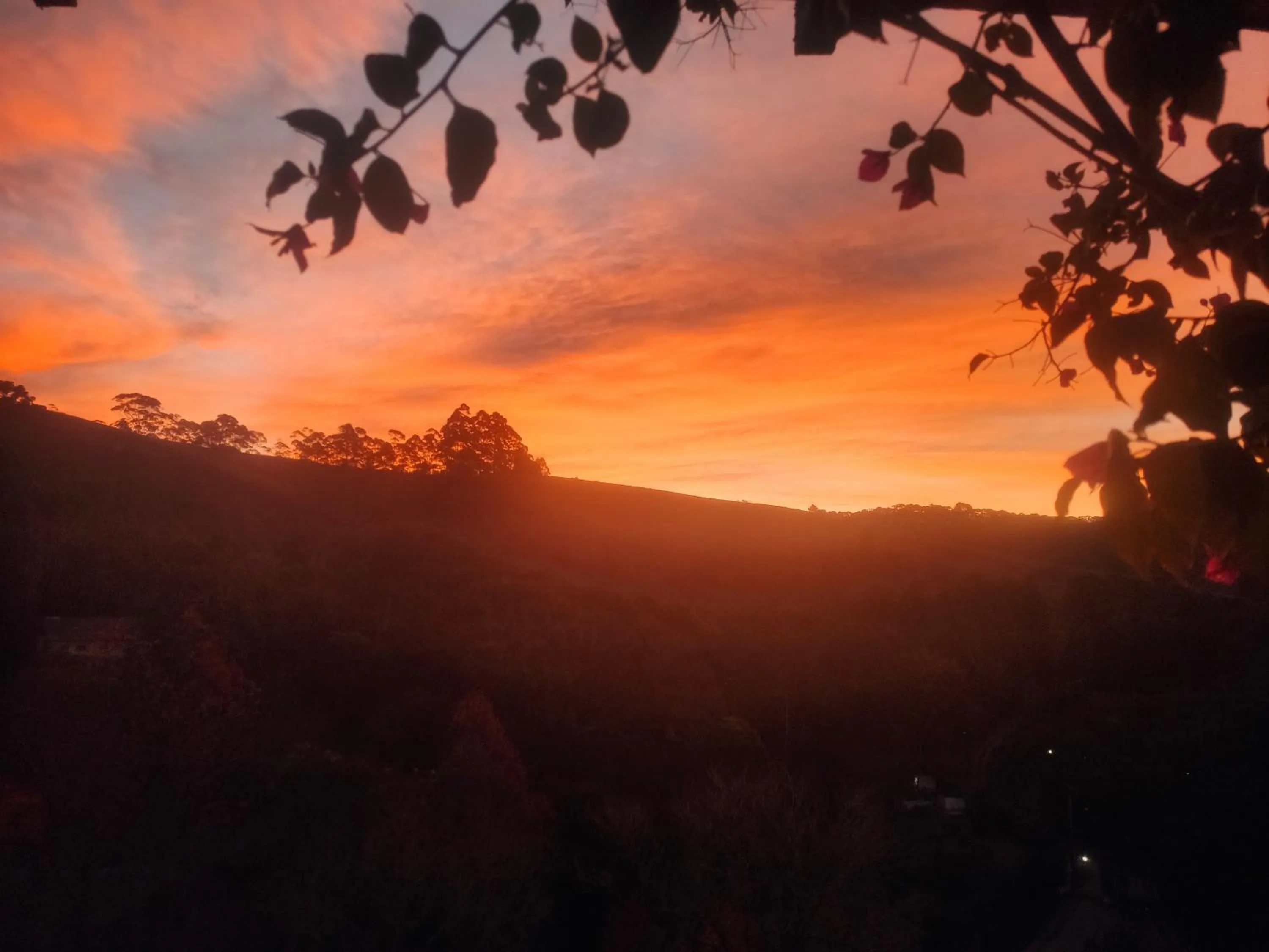 View (from property/room) in Colônia SAA