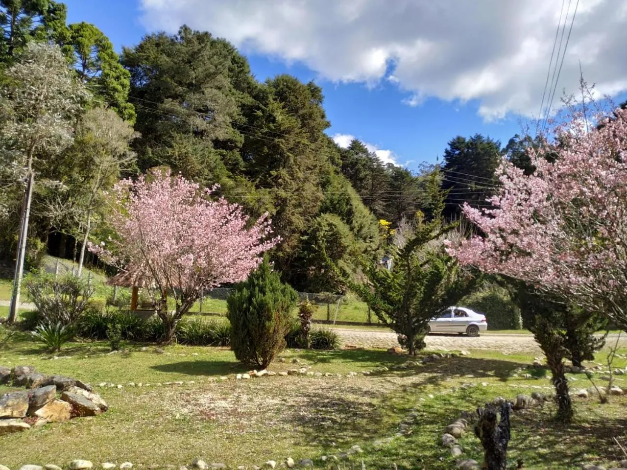 Garden in Colônia SAA