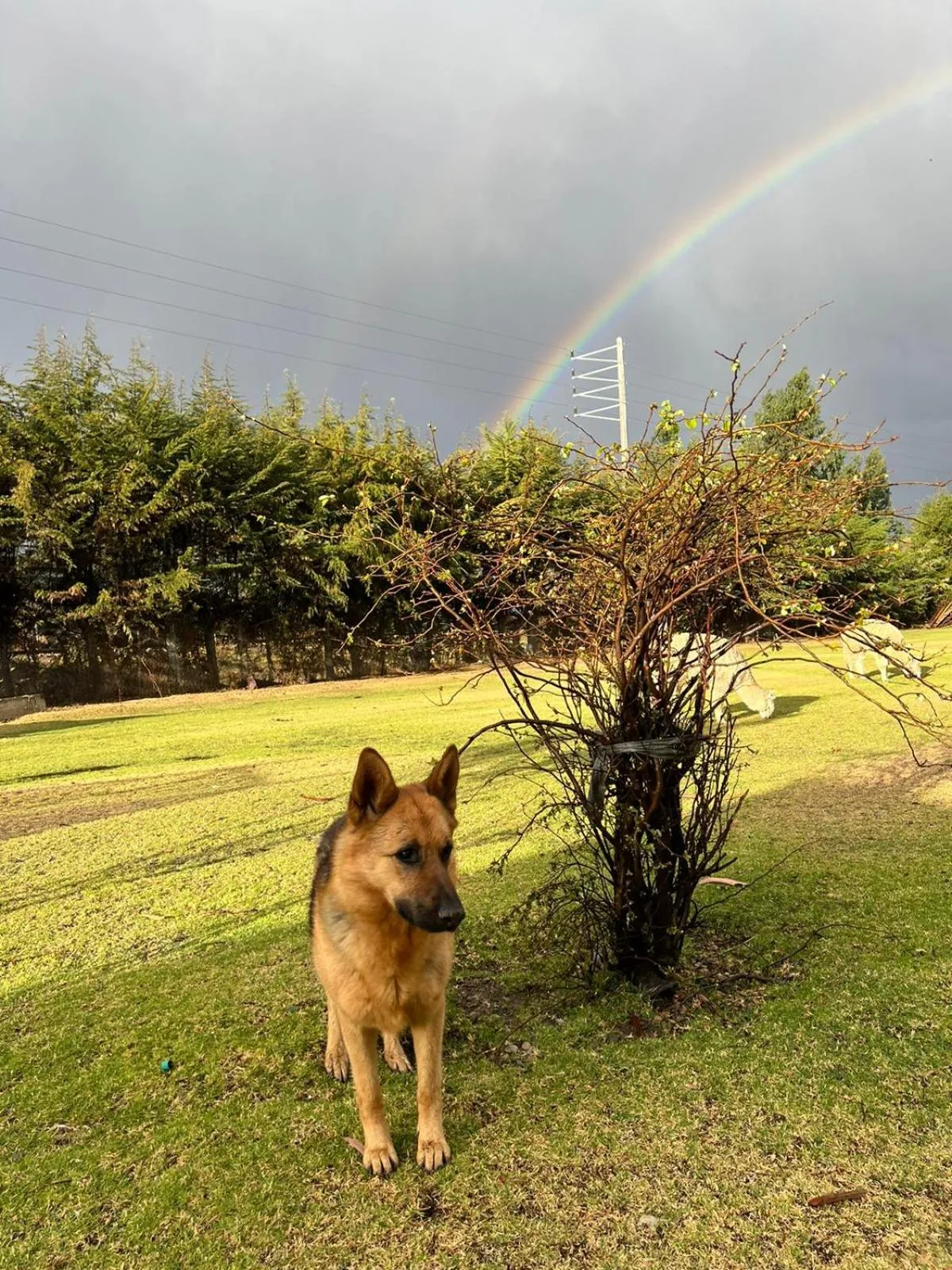 Parking in RESORT ALAPA