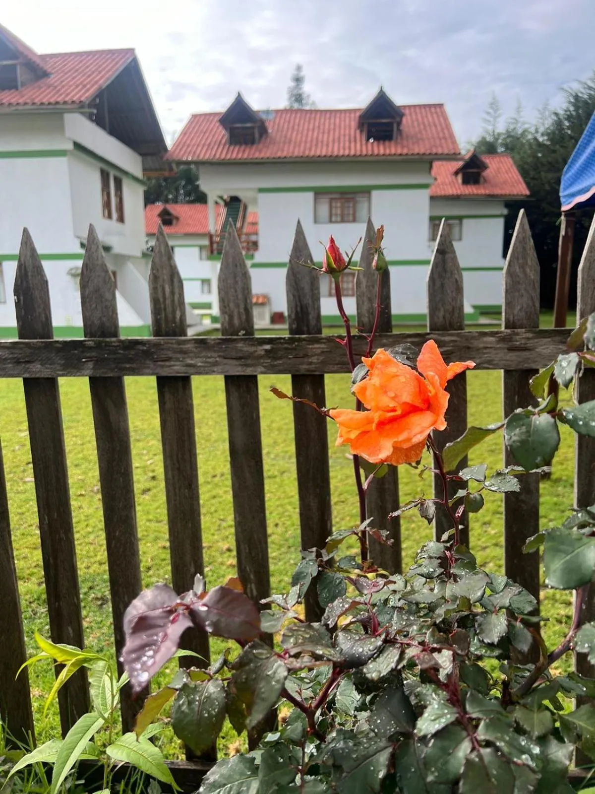 Property building in RESORT ALAPA