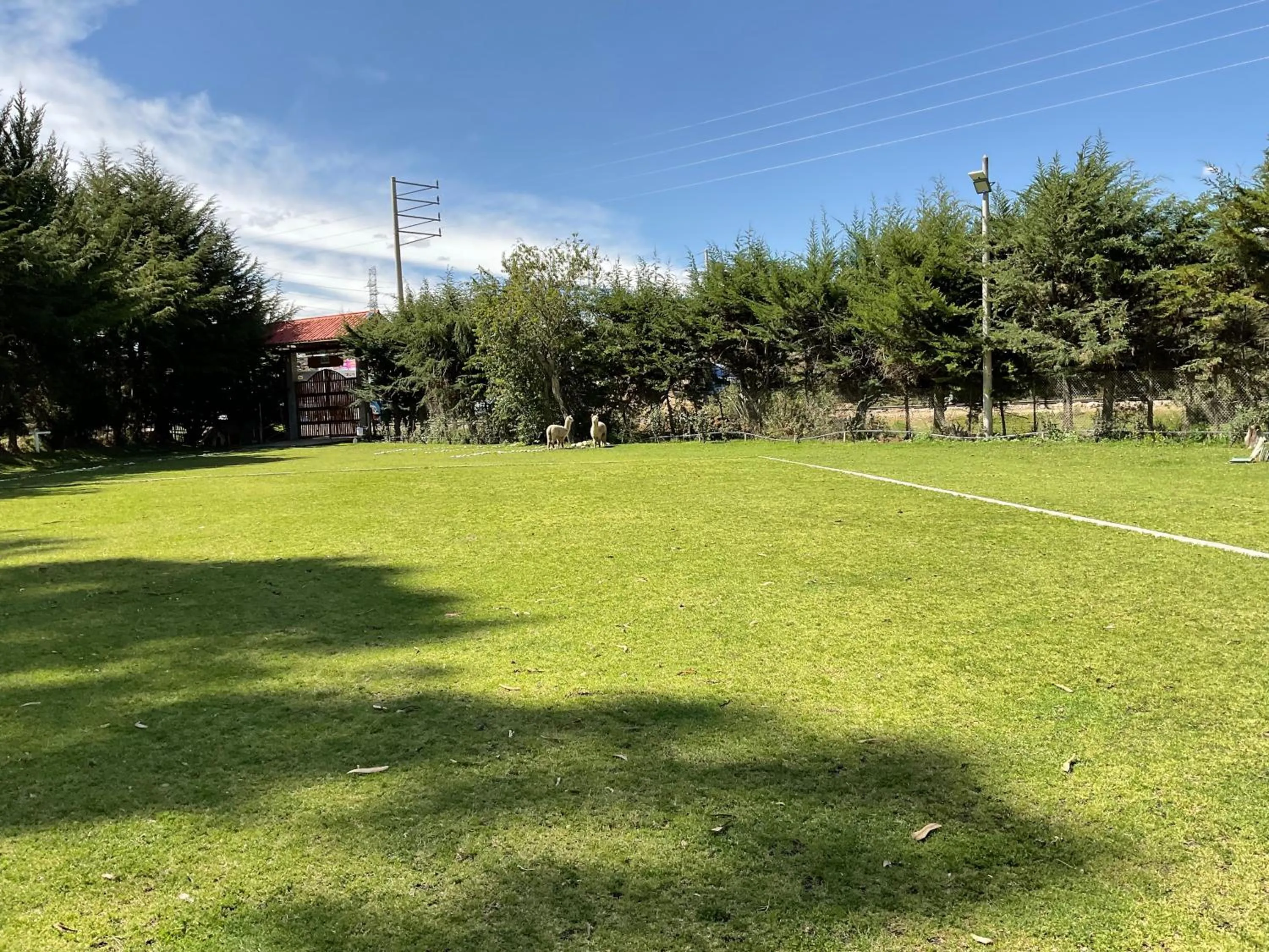 Property building in RESORT ALAPA