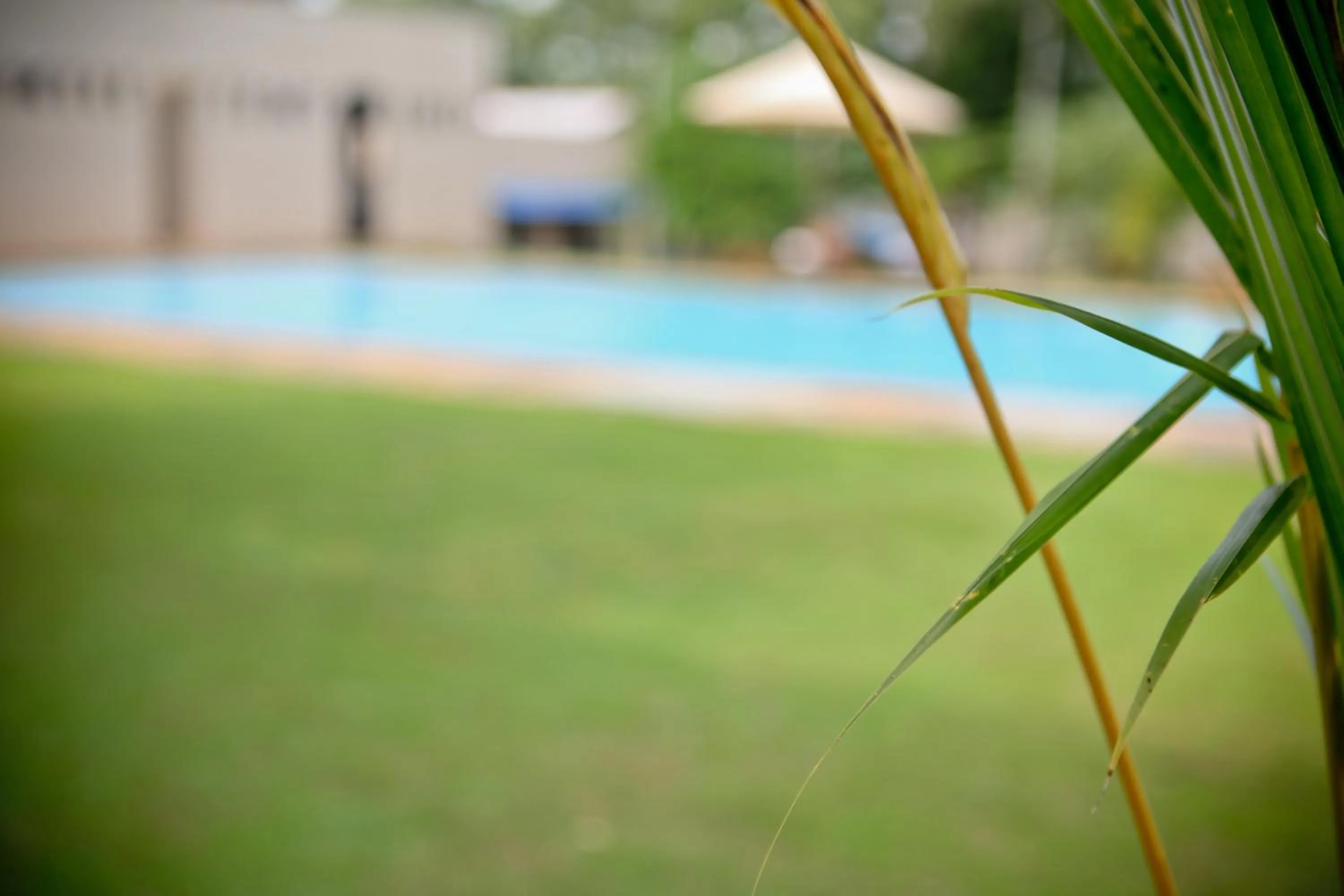 Pool view in Lavendish Okrin Hotel