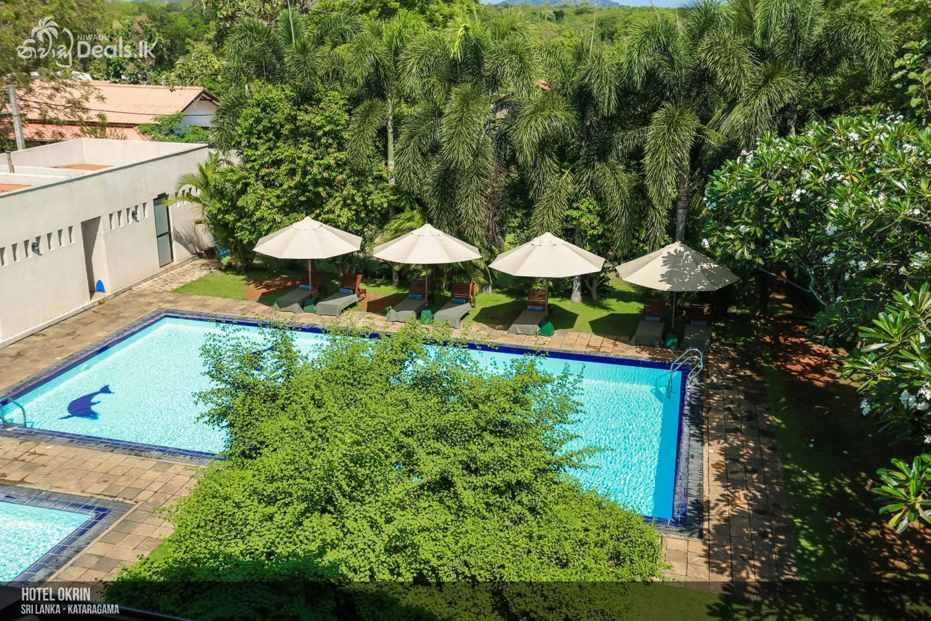 Pool view in Lavendish Okrin Hotel