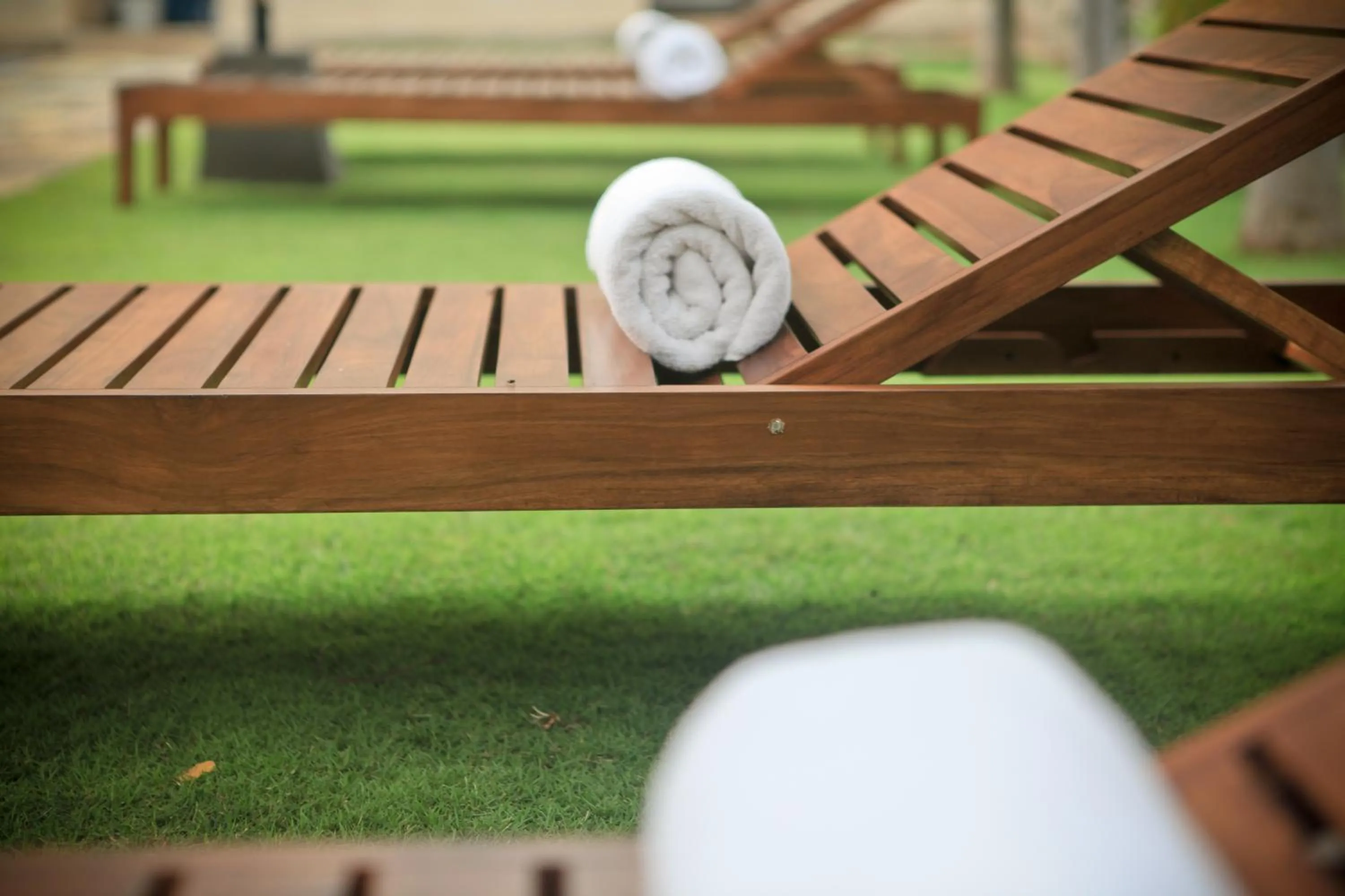 Garden in Lavendish Okrin Hotel