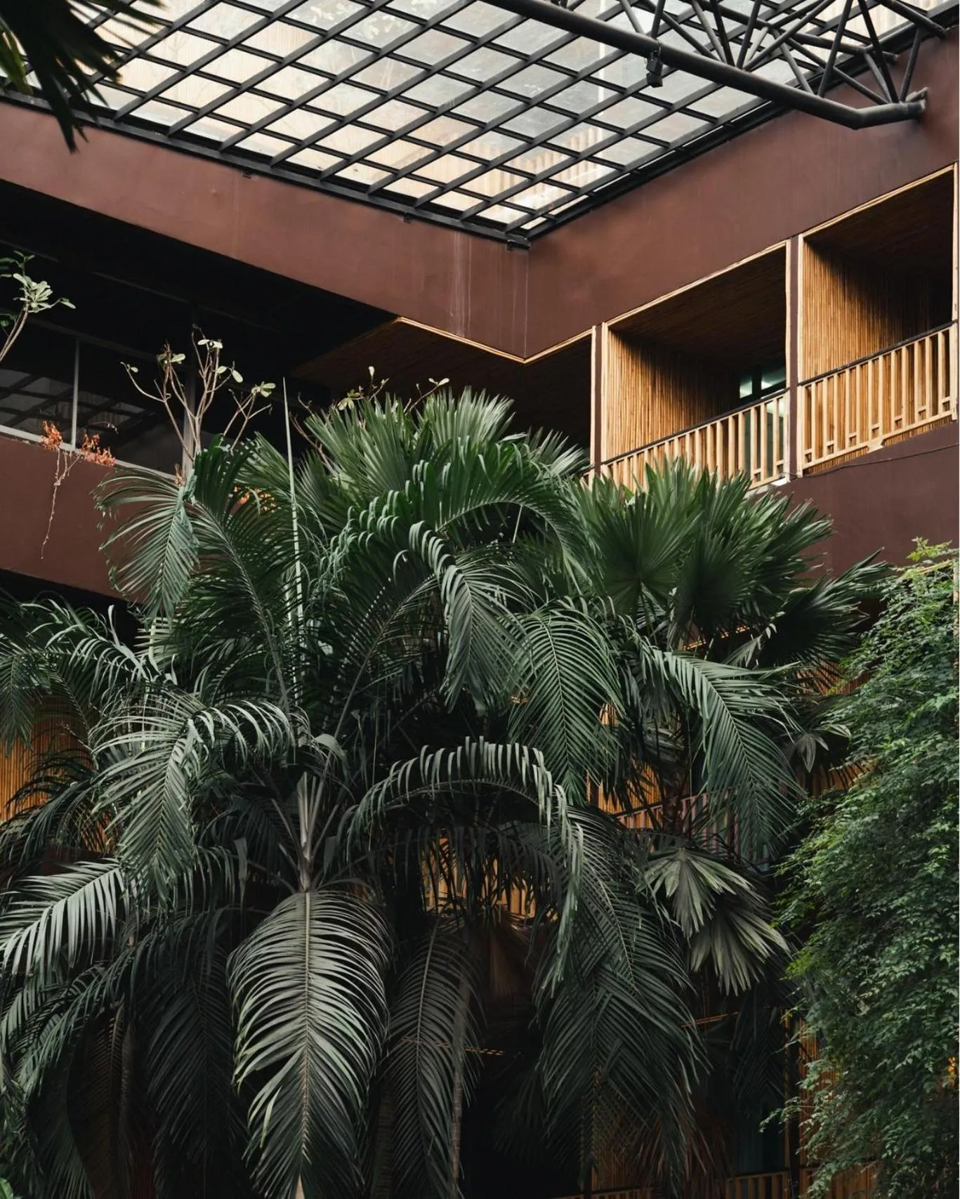 Property building in 515 VICTORY Hotel