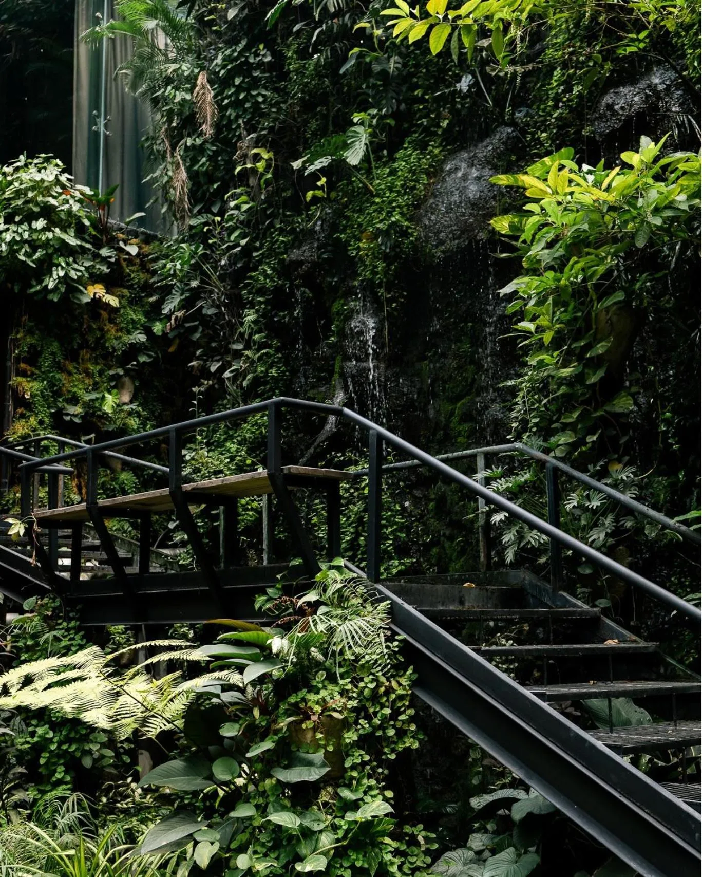 Garden in 515 VICTORY Hotel