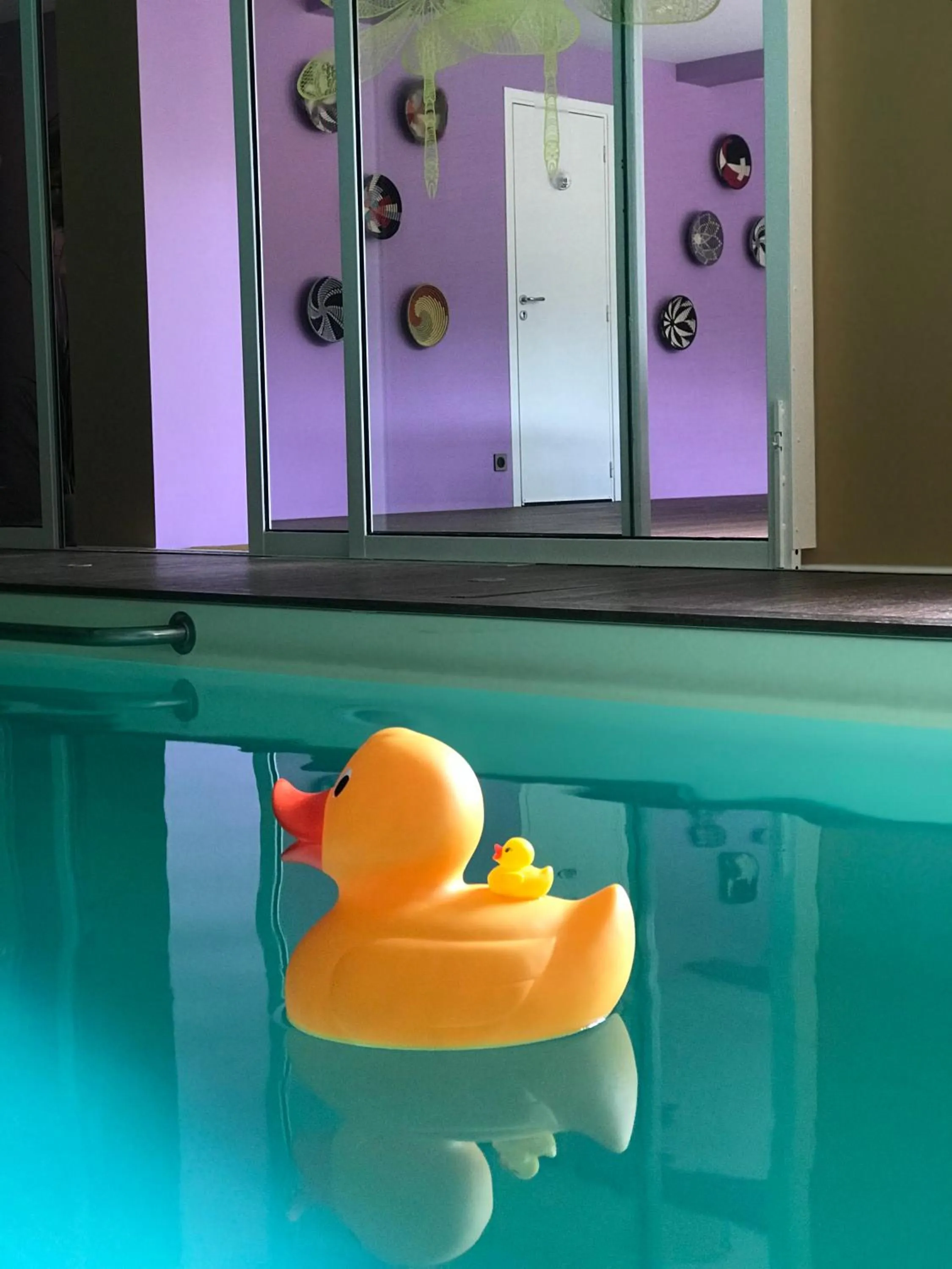 Swimming pool in Villa Talisman