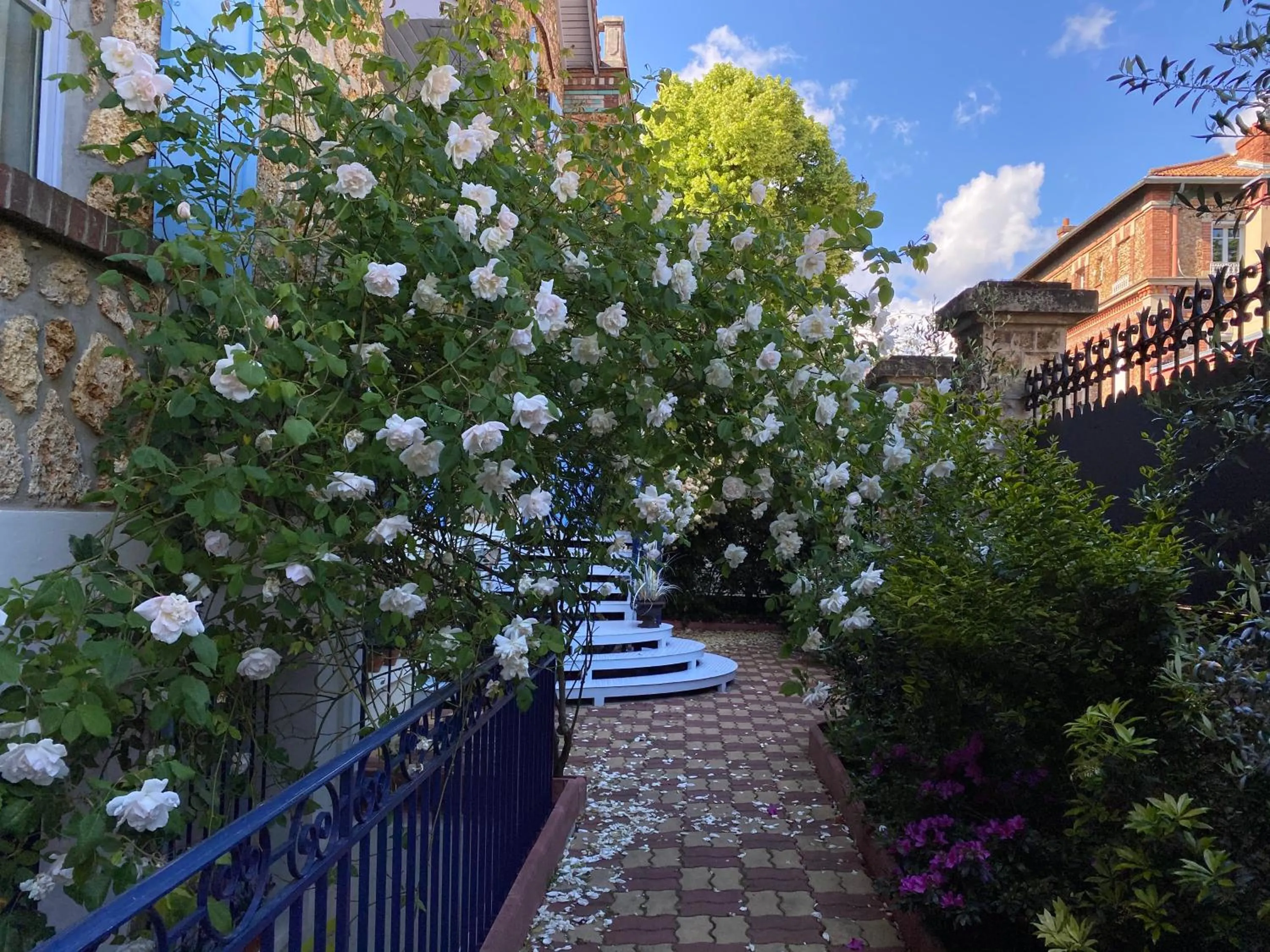 Garden in Villa Talisman