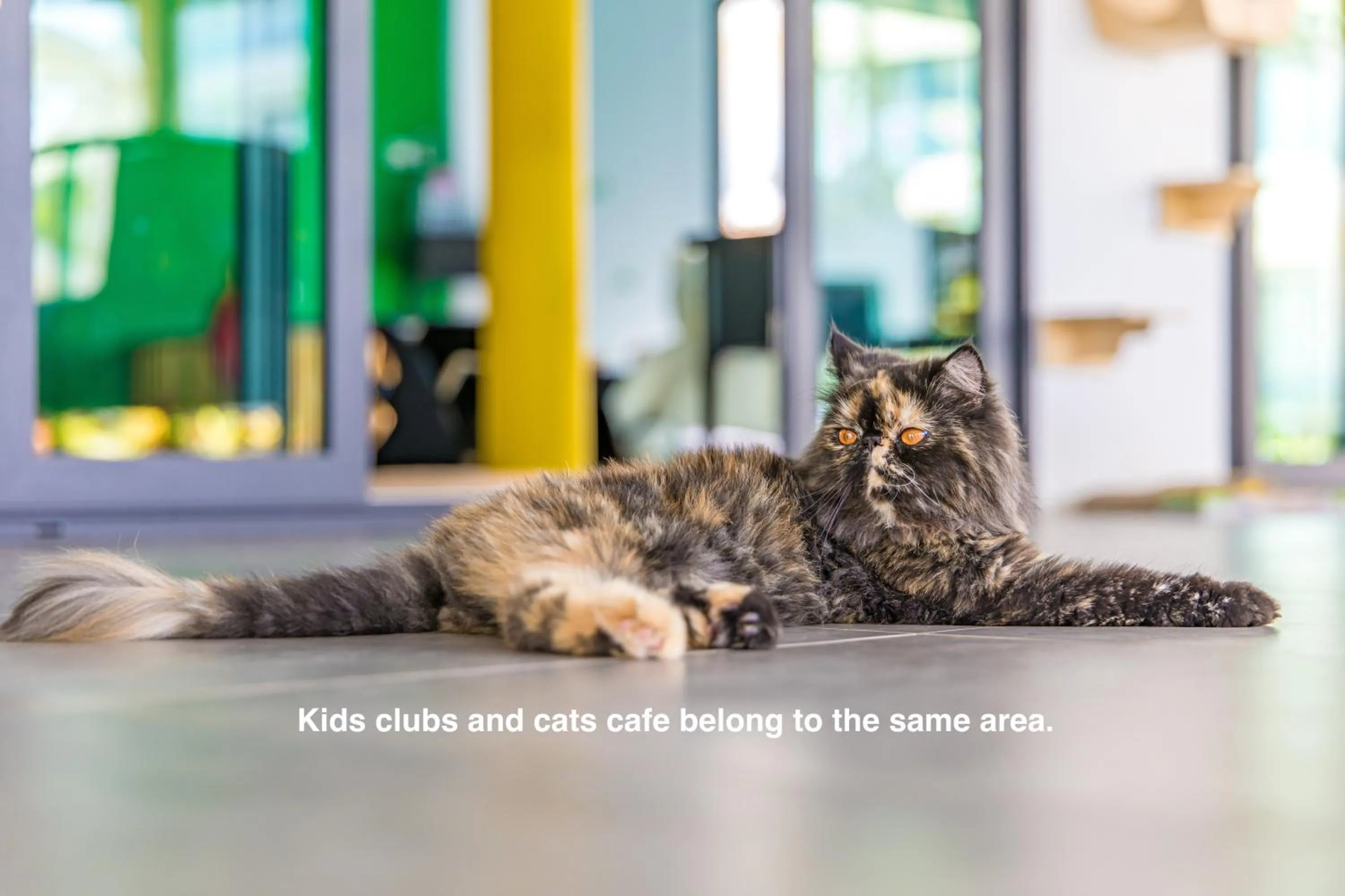 Kids's club in Royal Yao Yai Island Beach Resort