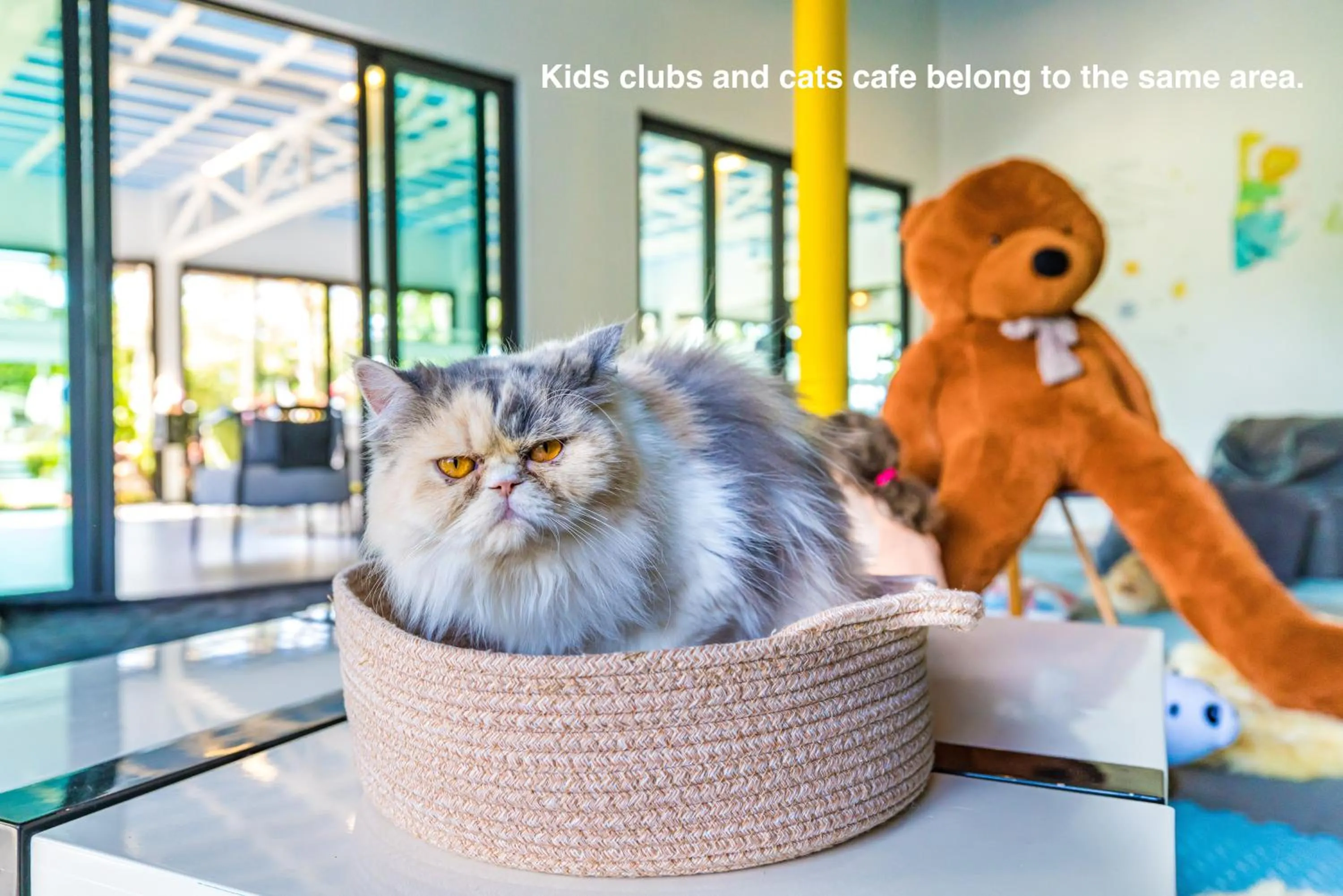 Kids's club in Royal Yao Yai Island Beach Resort