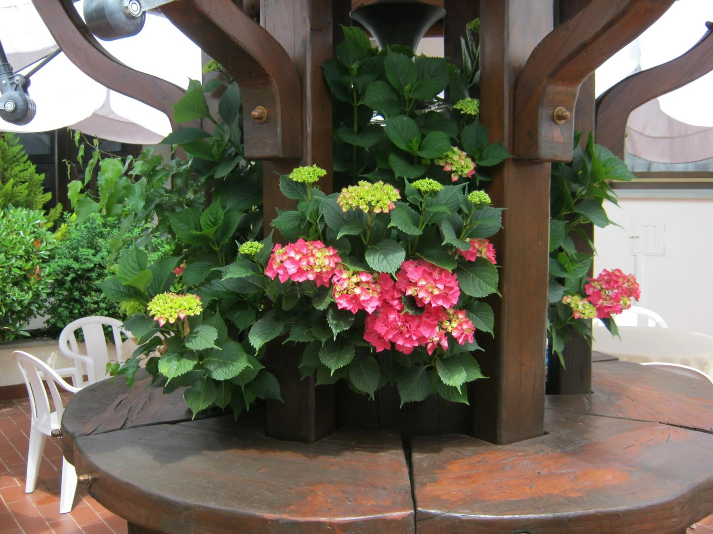 Hotel Residence Margherita