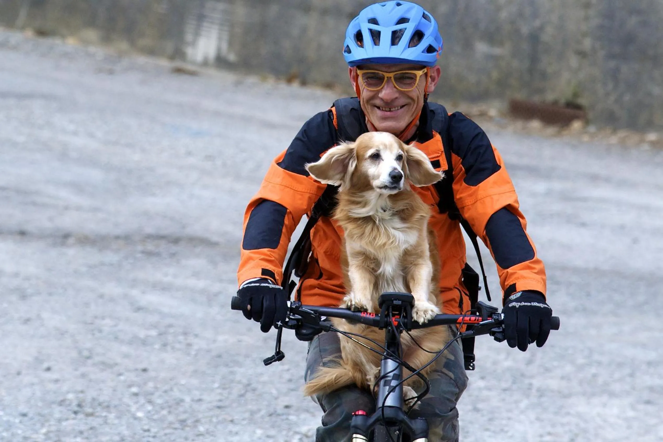 Pets in Hotel Residence Margherita