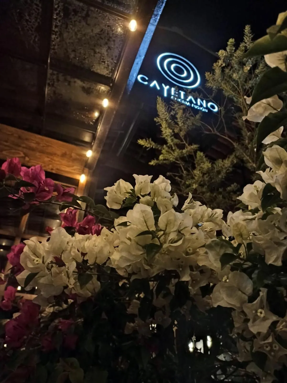 Restaurant/places to eat in Hotel Casa Xaa