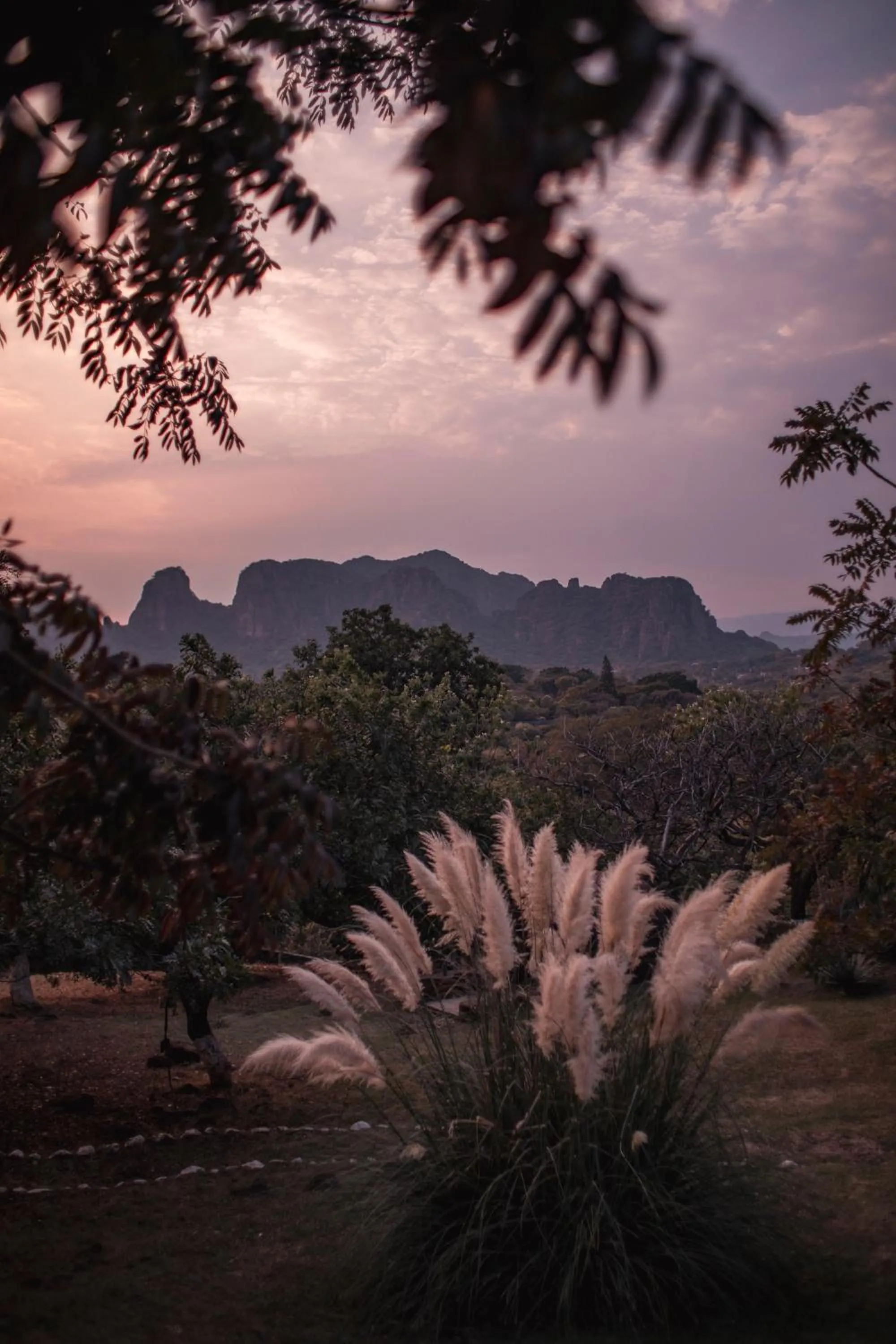 Natural landscape in Amara Tepoztlán