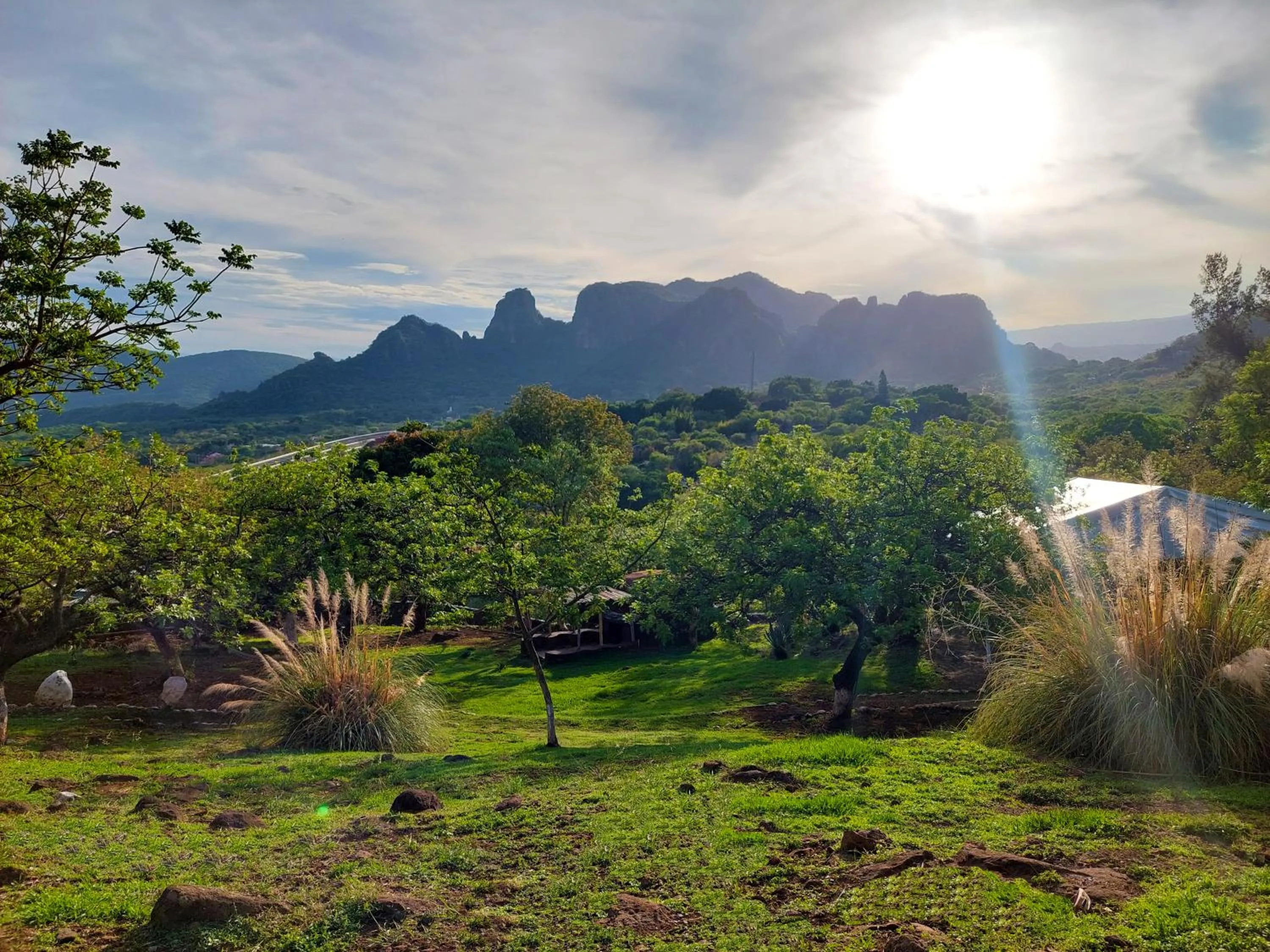 Garden in Amara Tepoztlán
