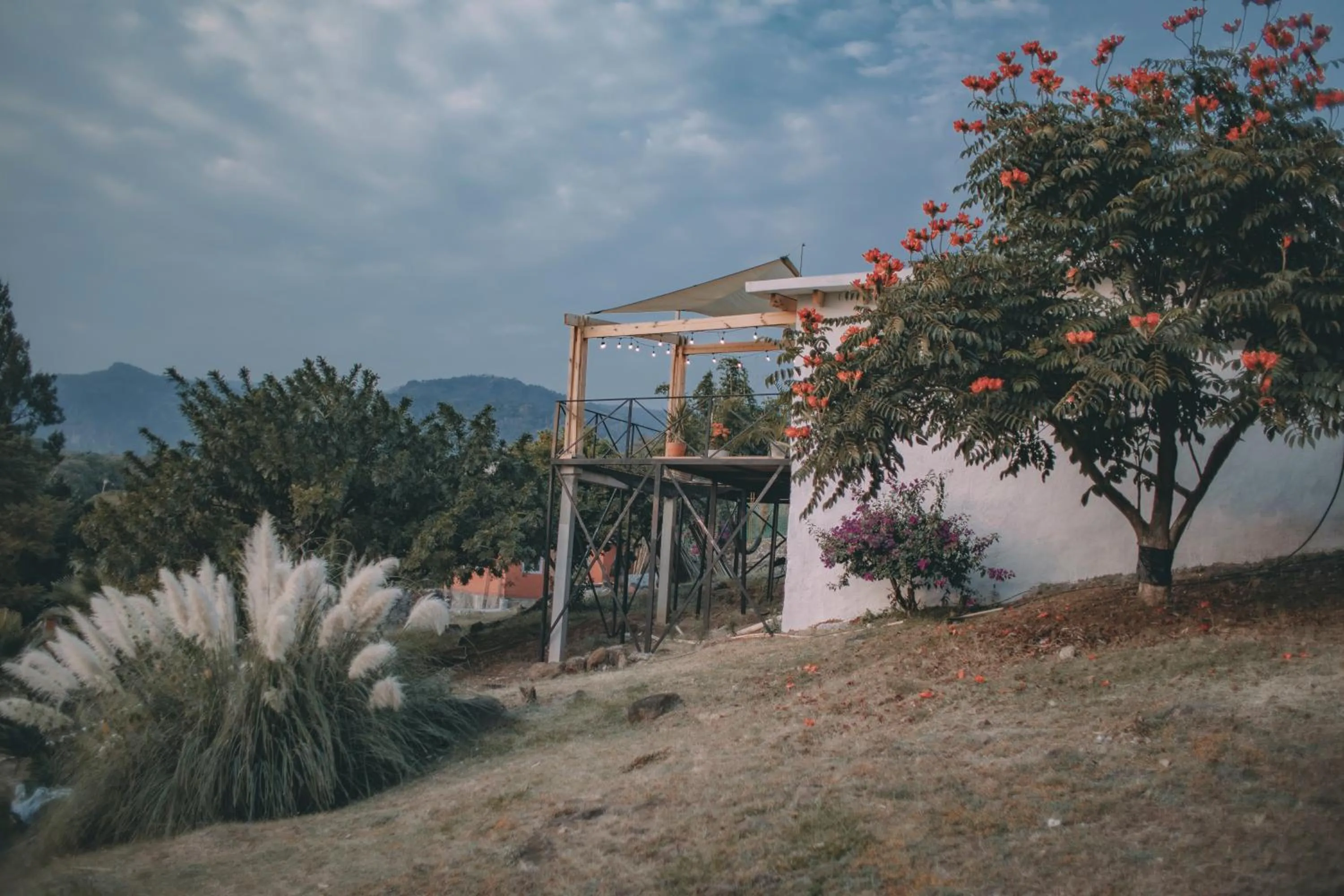Off site in Amara Tepoztlán
