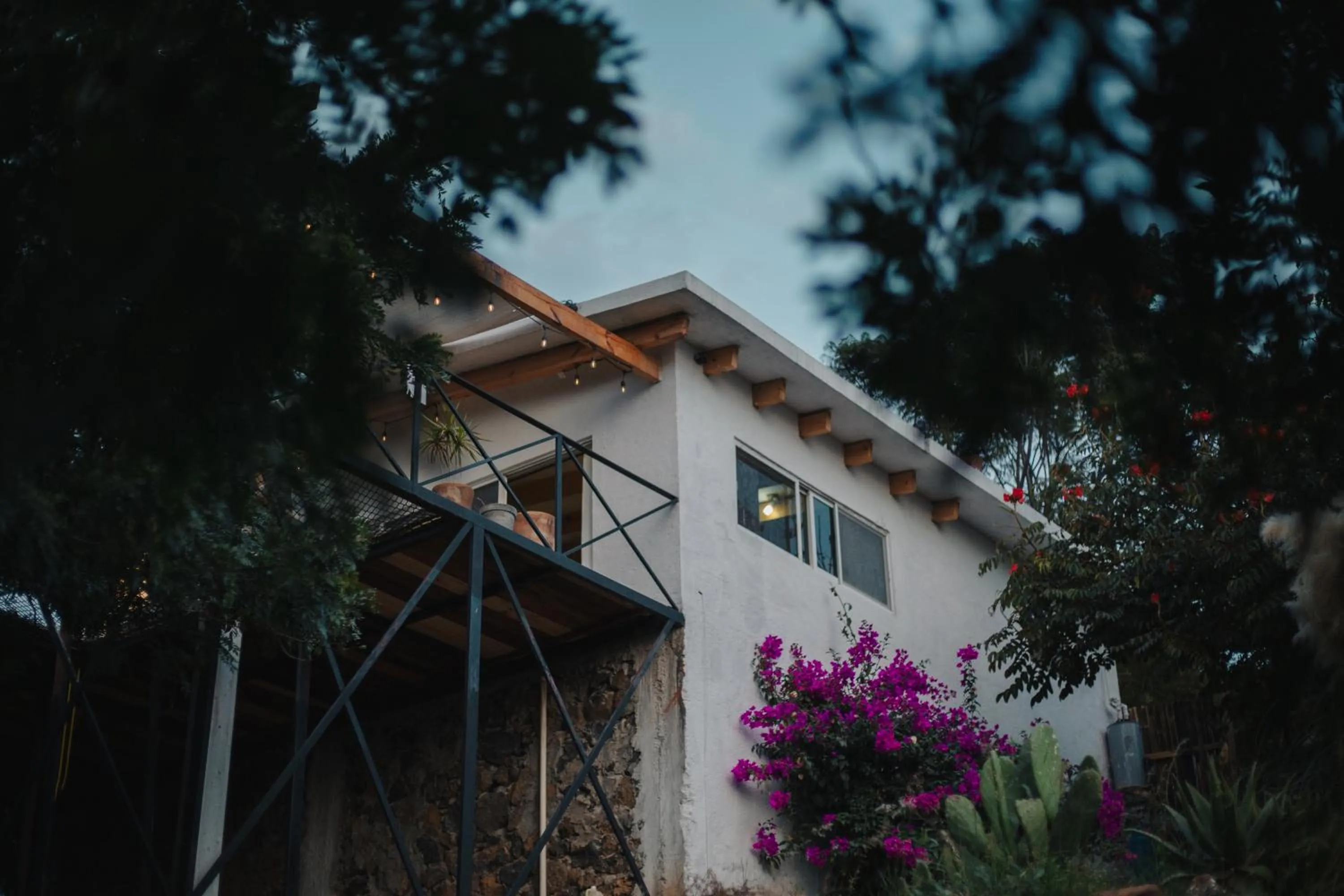 Garden view in Amara Tepoztlán