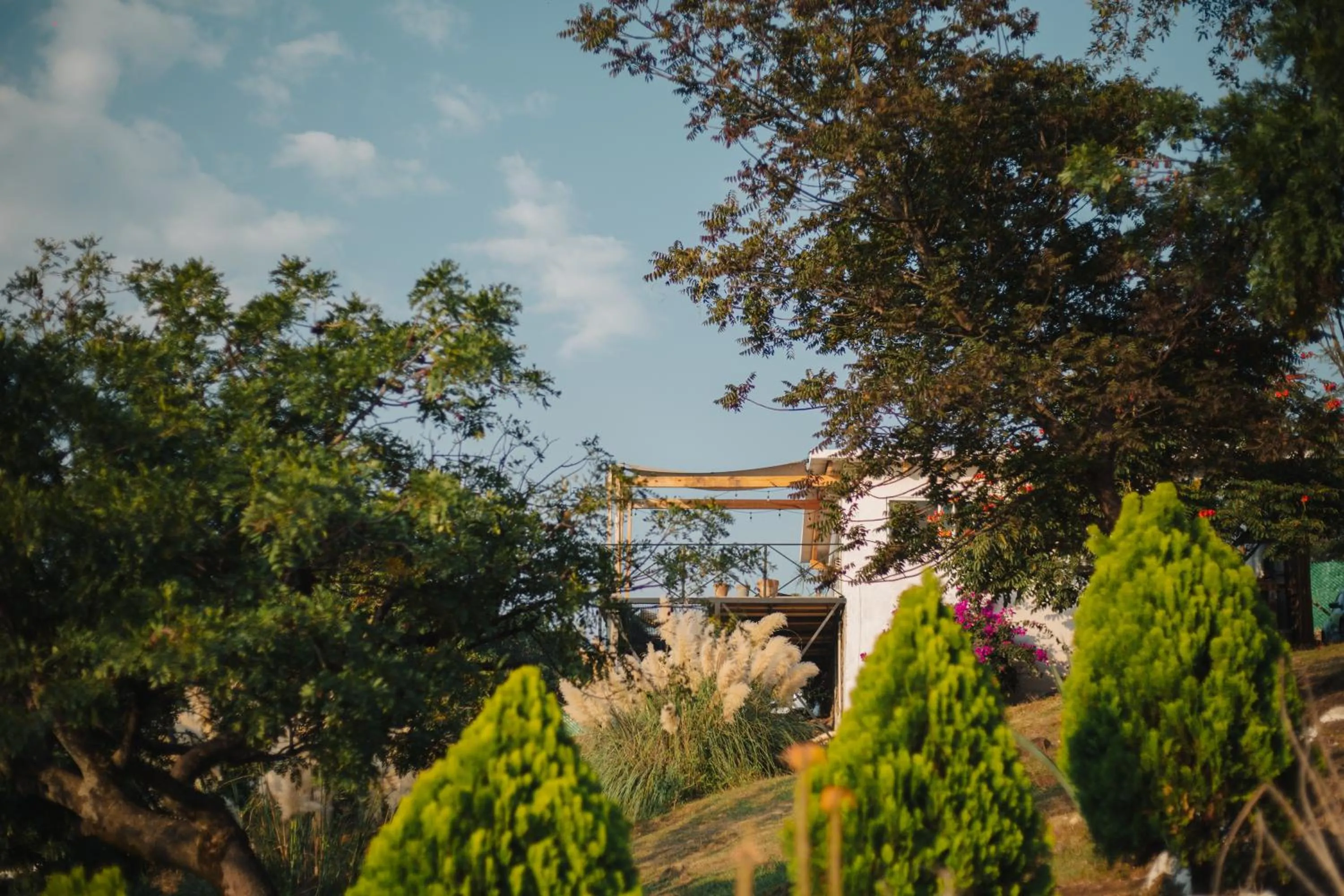 Day in Amara Tepoztlán