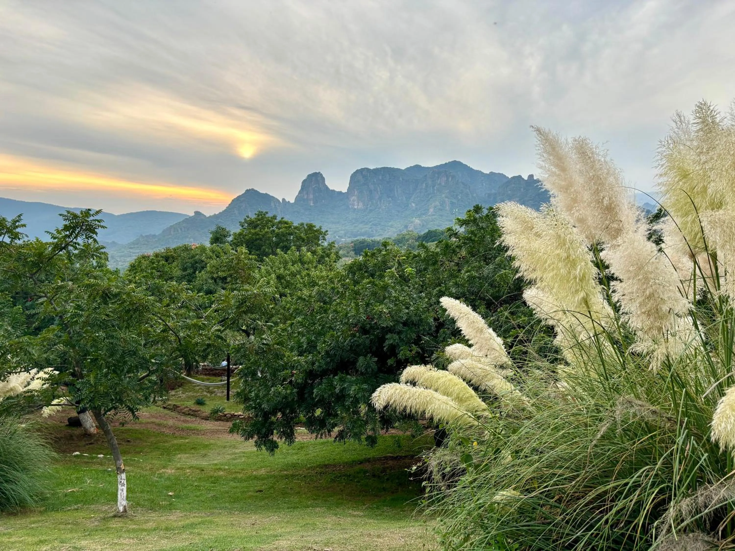 Garden view in Amara Tepoztlán