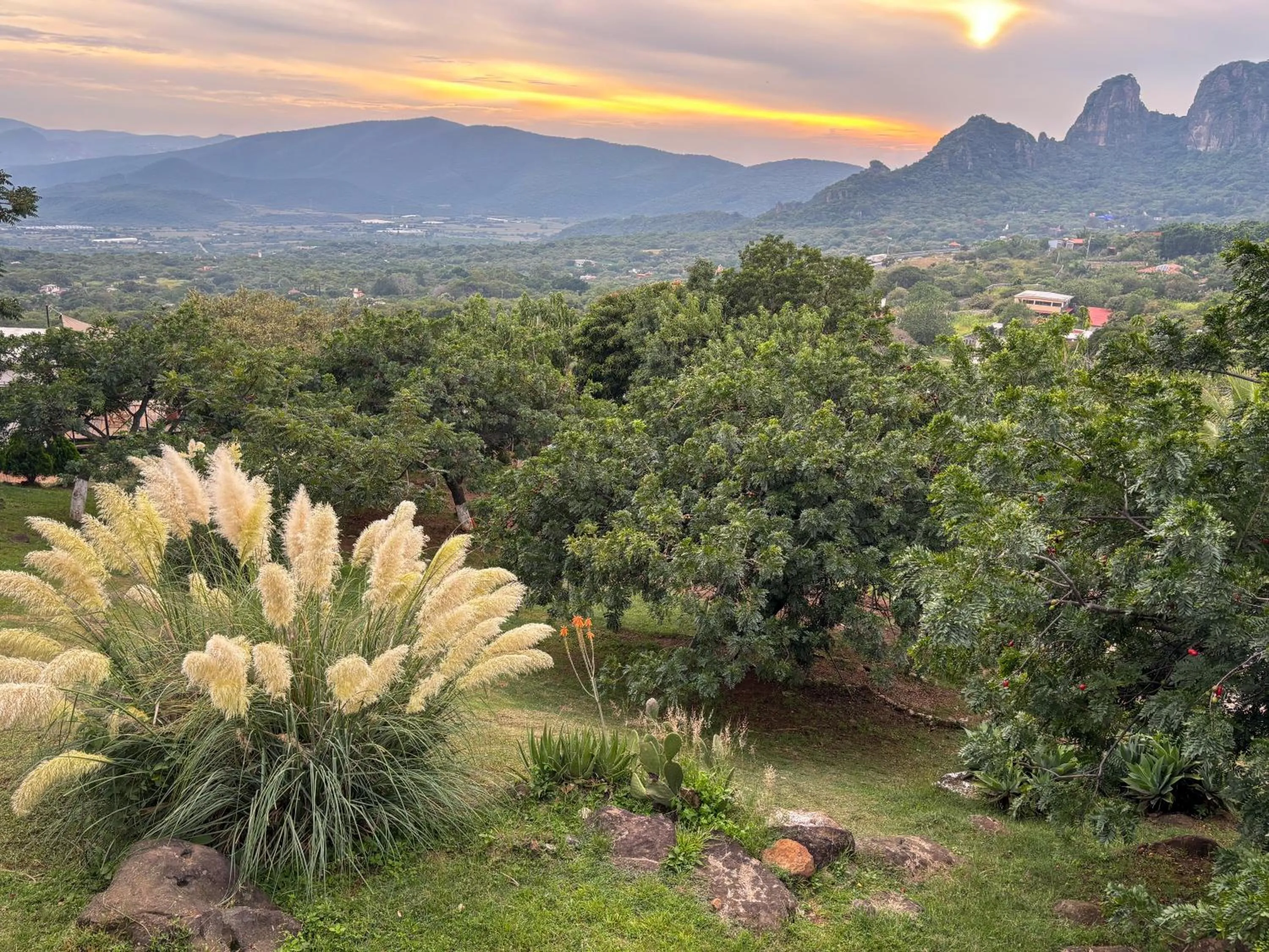 Garden view in Amara Tepoztlán