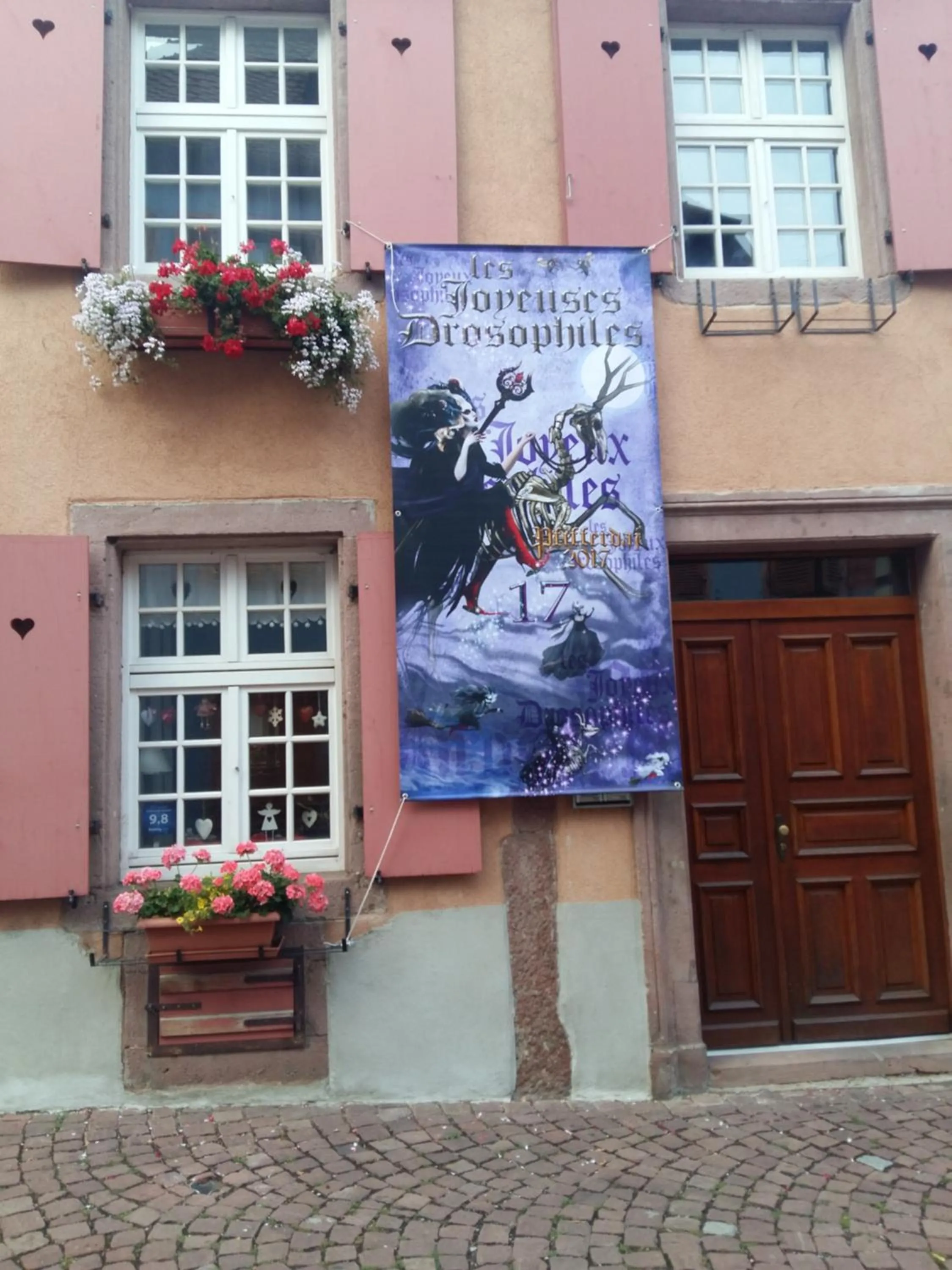 La Maison des Tanneurs