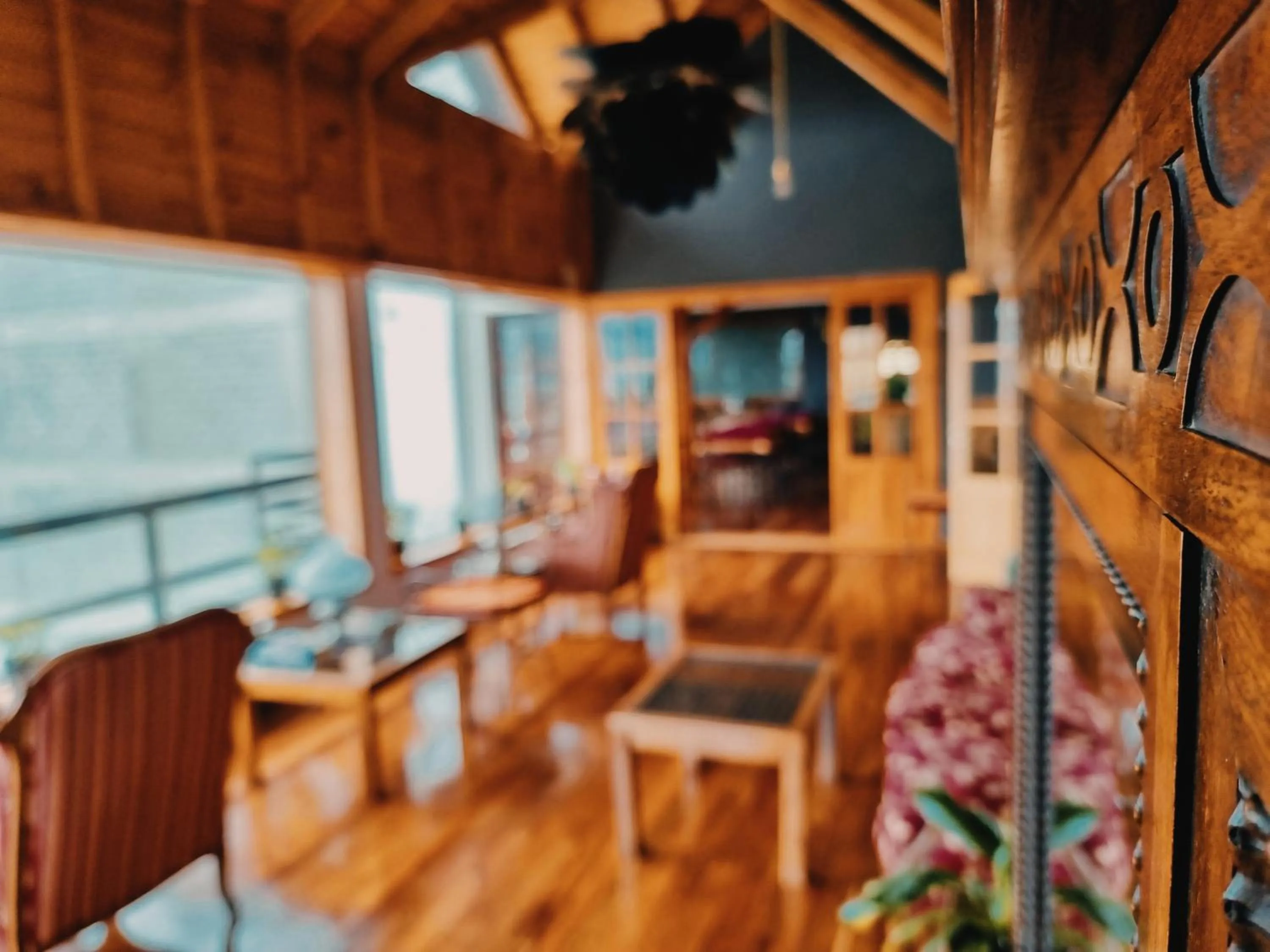 Living room in FLOR AUSTRAL