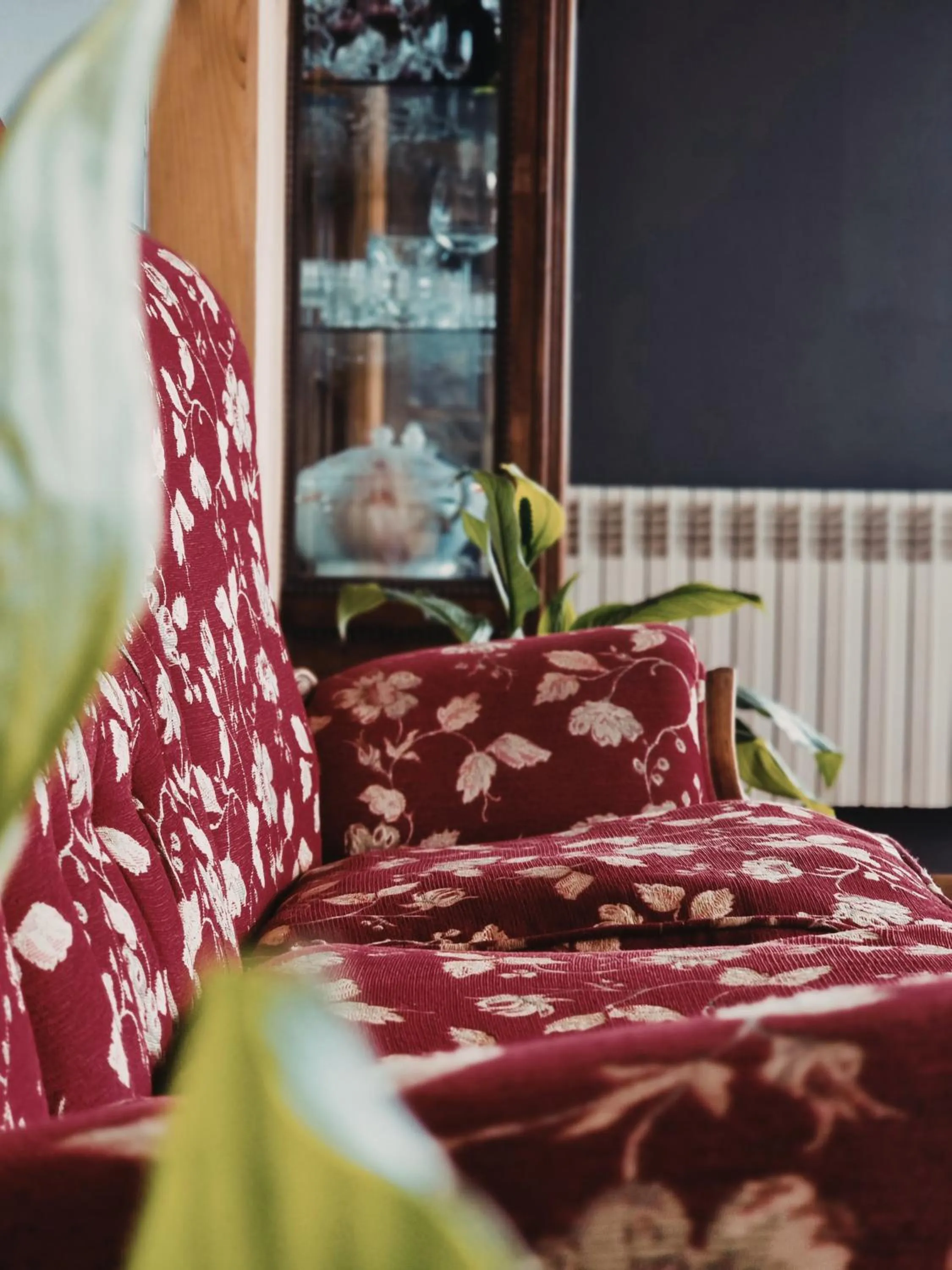 Living room in FLOR AUSTRAL