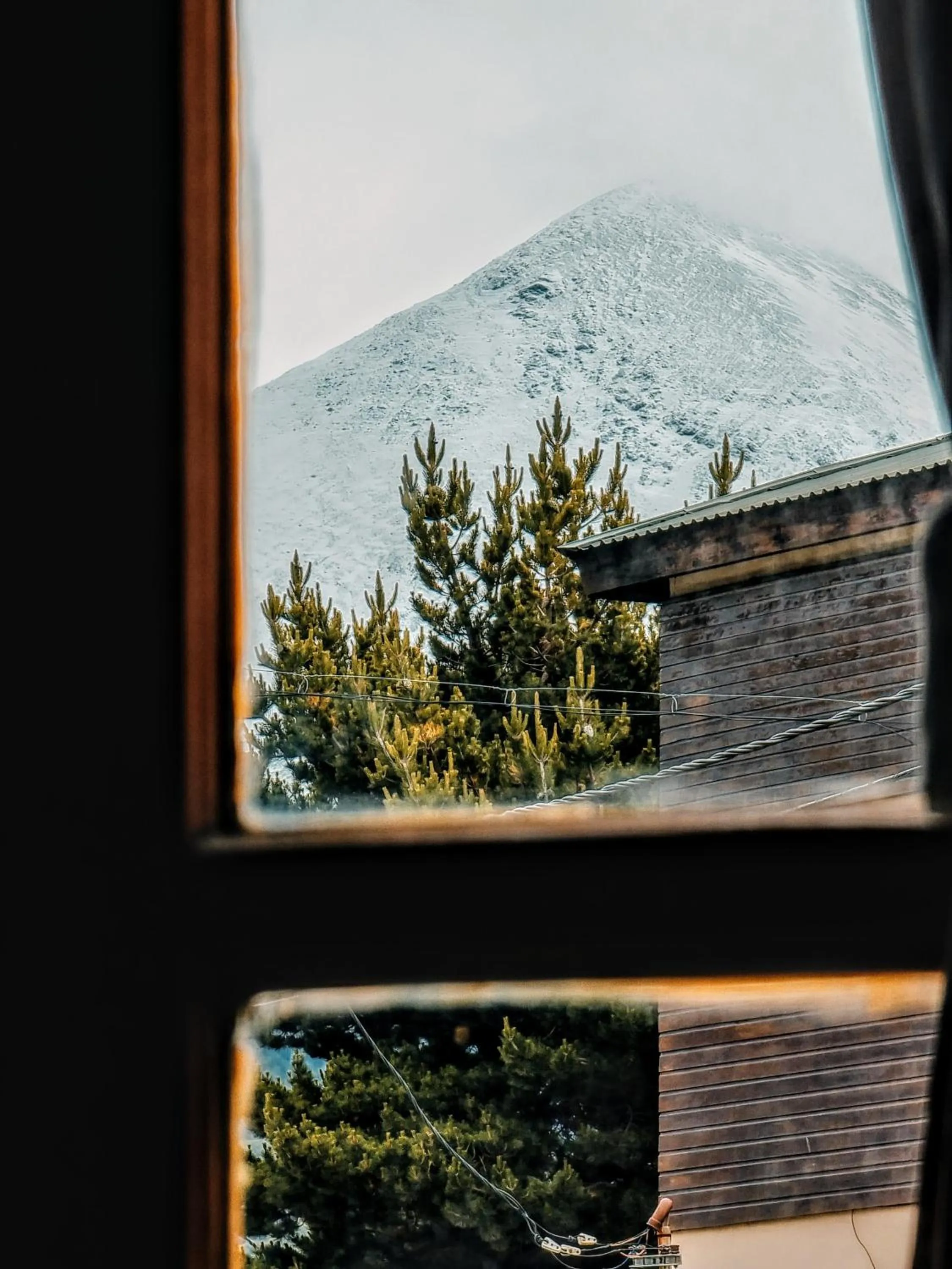 Natural landscape in FLOR AUSTRAL