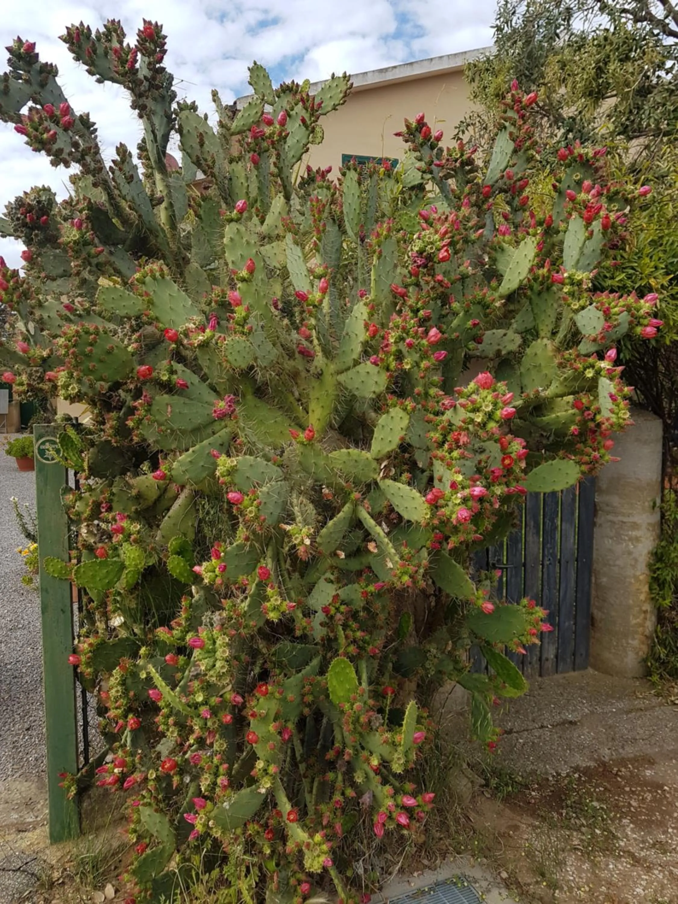 Garden in Agriturismo S. Agostino