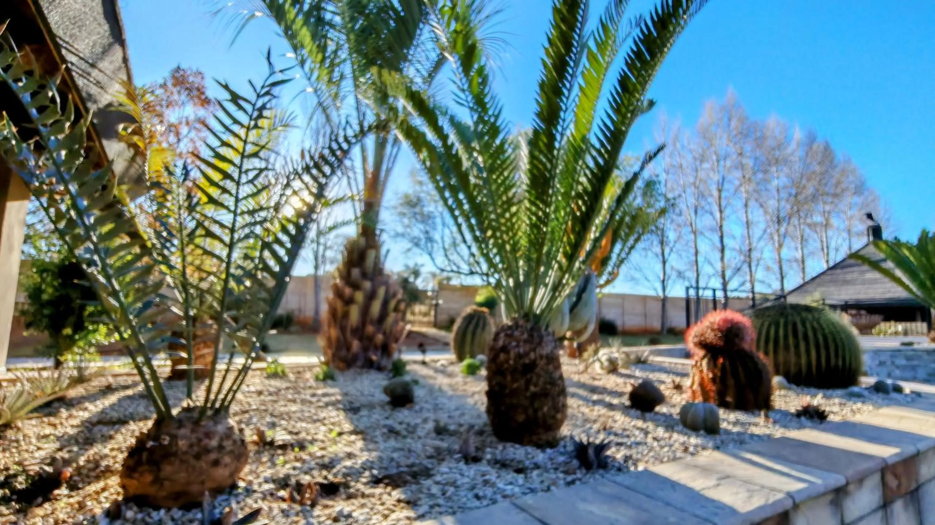 Garden view in Monte Christo Hotel