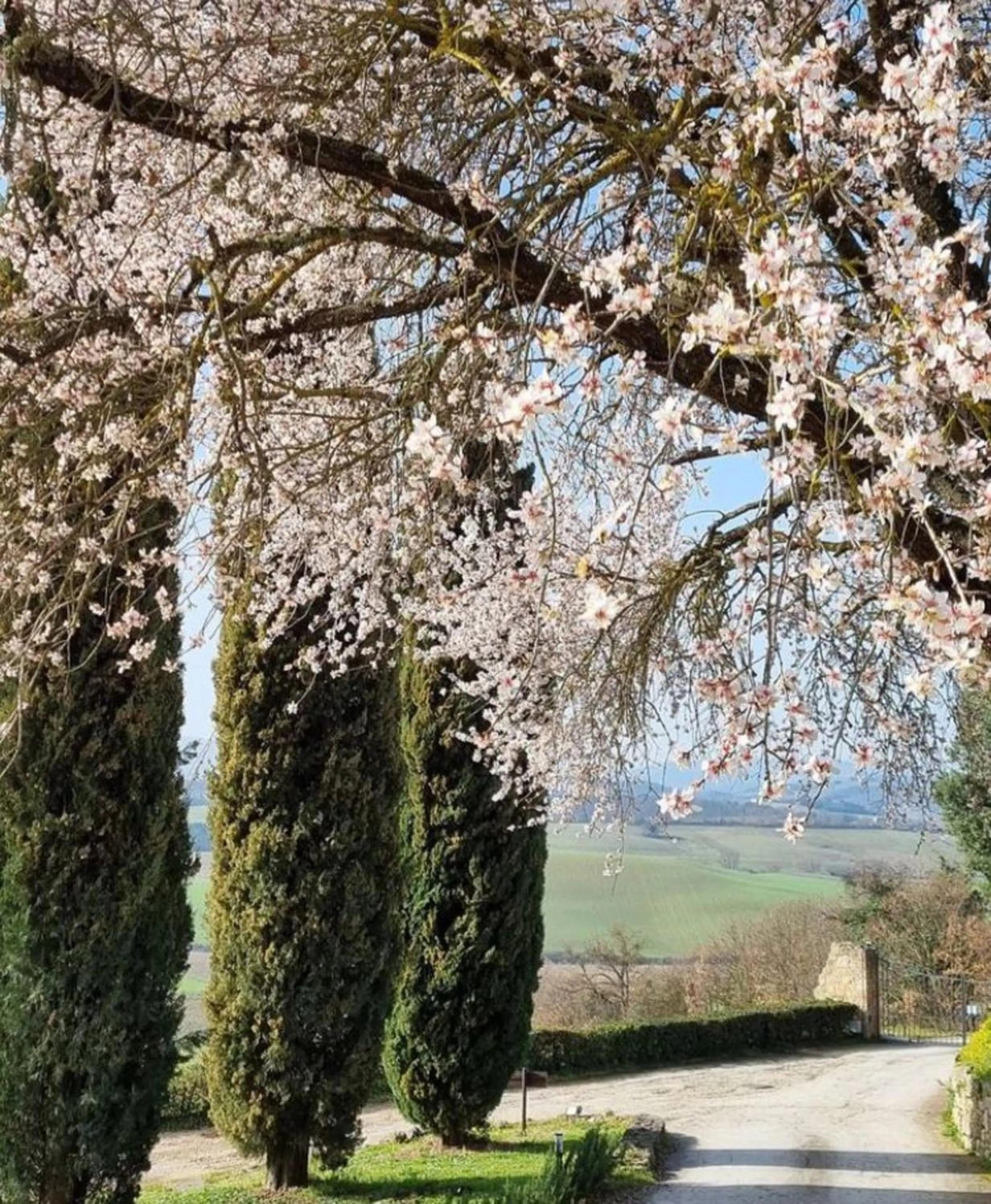 Spring in Relais CastelBigozzi