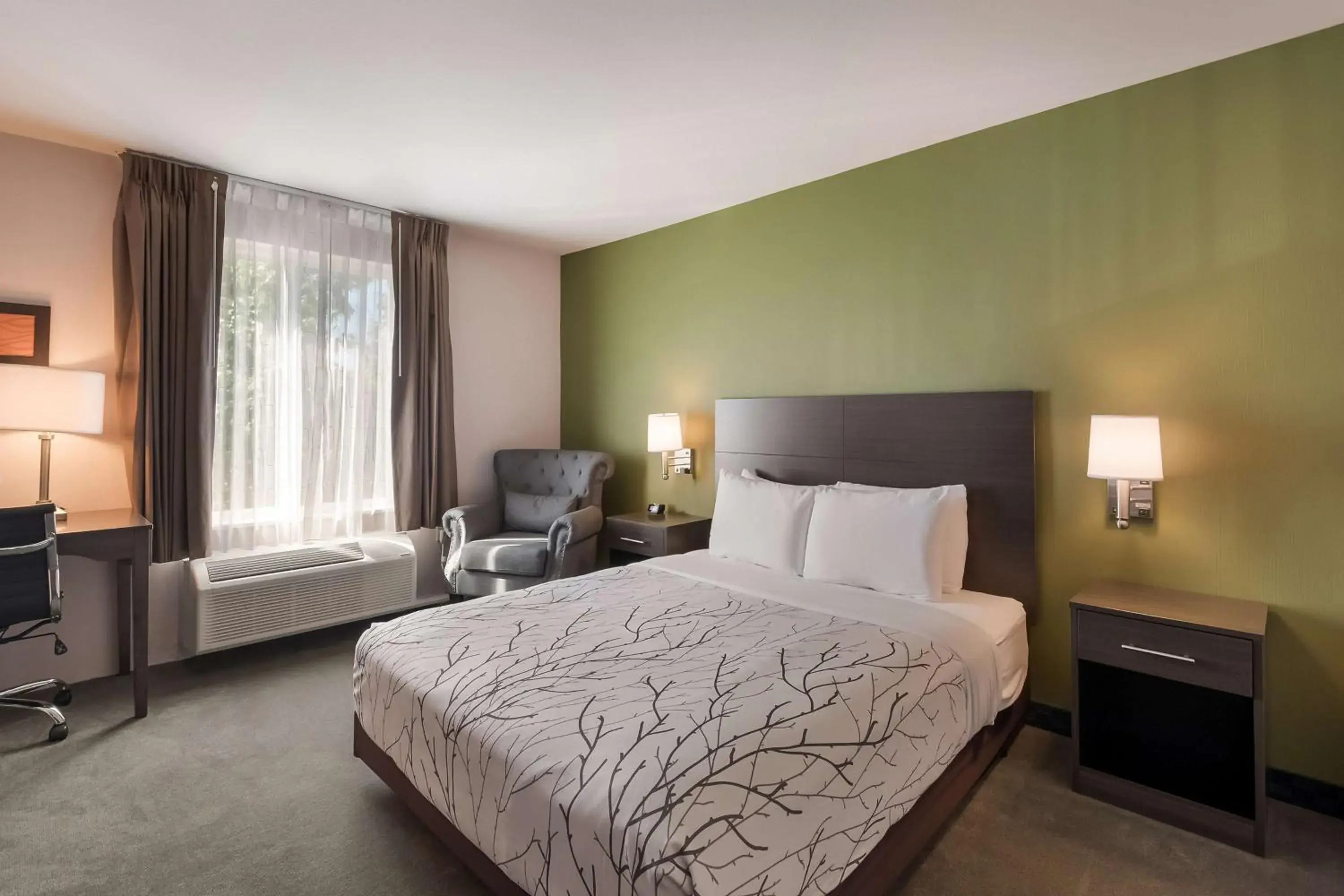 Queen Room with Roll-In Shower - Disability Access in SureStay Plus Hotel by Best Western SeaTac Airport Queen Room with Roll-In Shower - Disability Access in SureStay Plus Hotel by Best Western SeaTac Airport