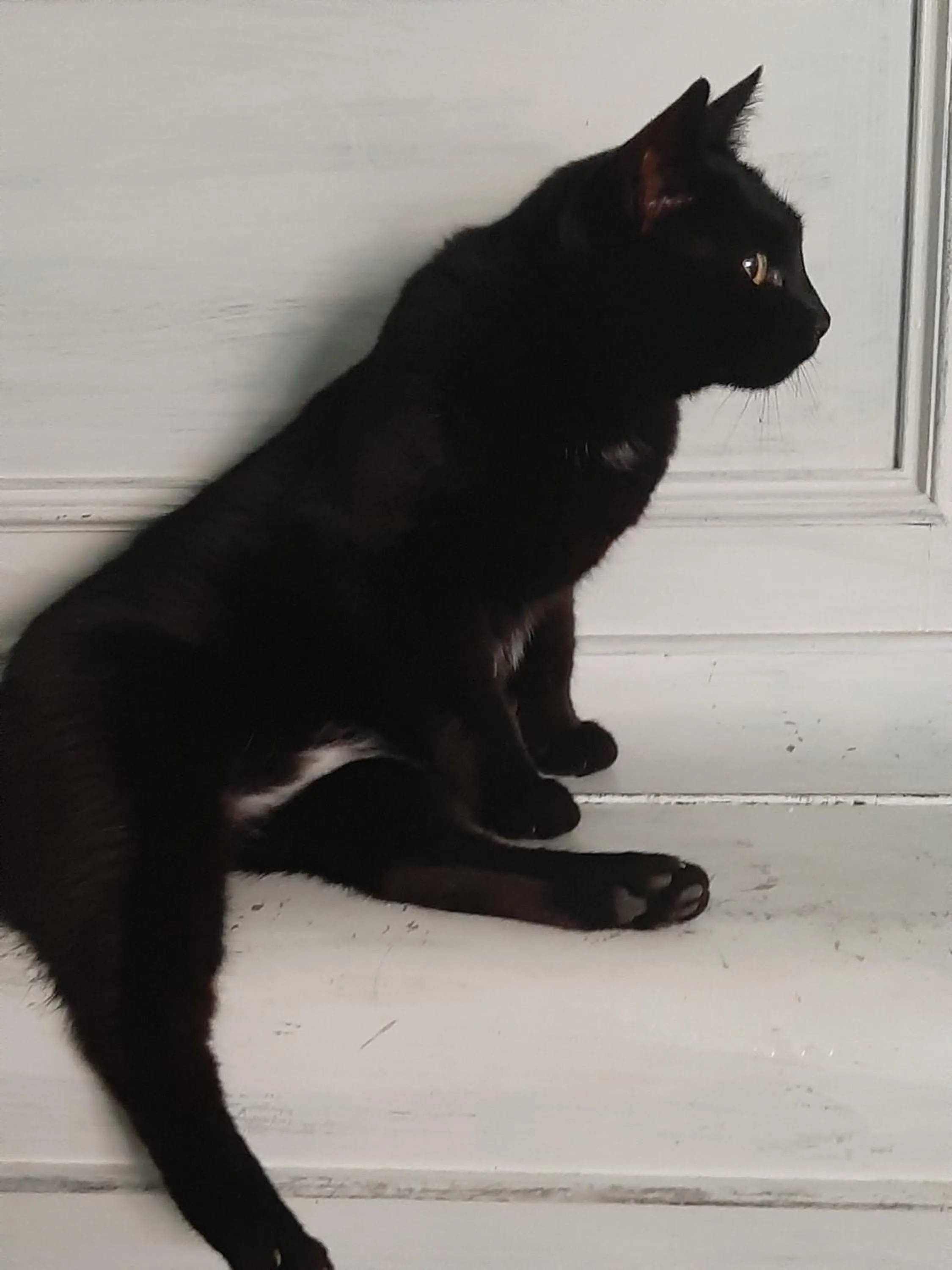 Staff in B&B Principe Calaf 3