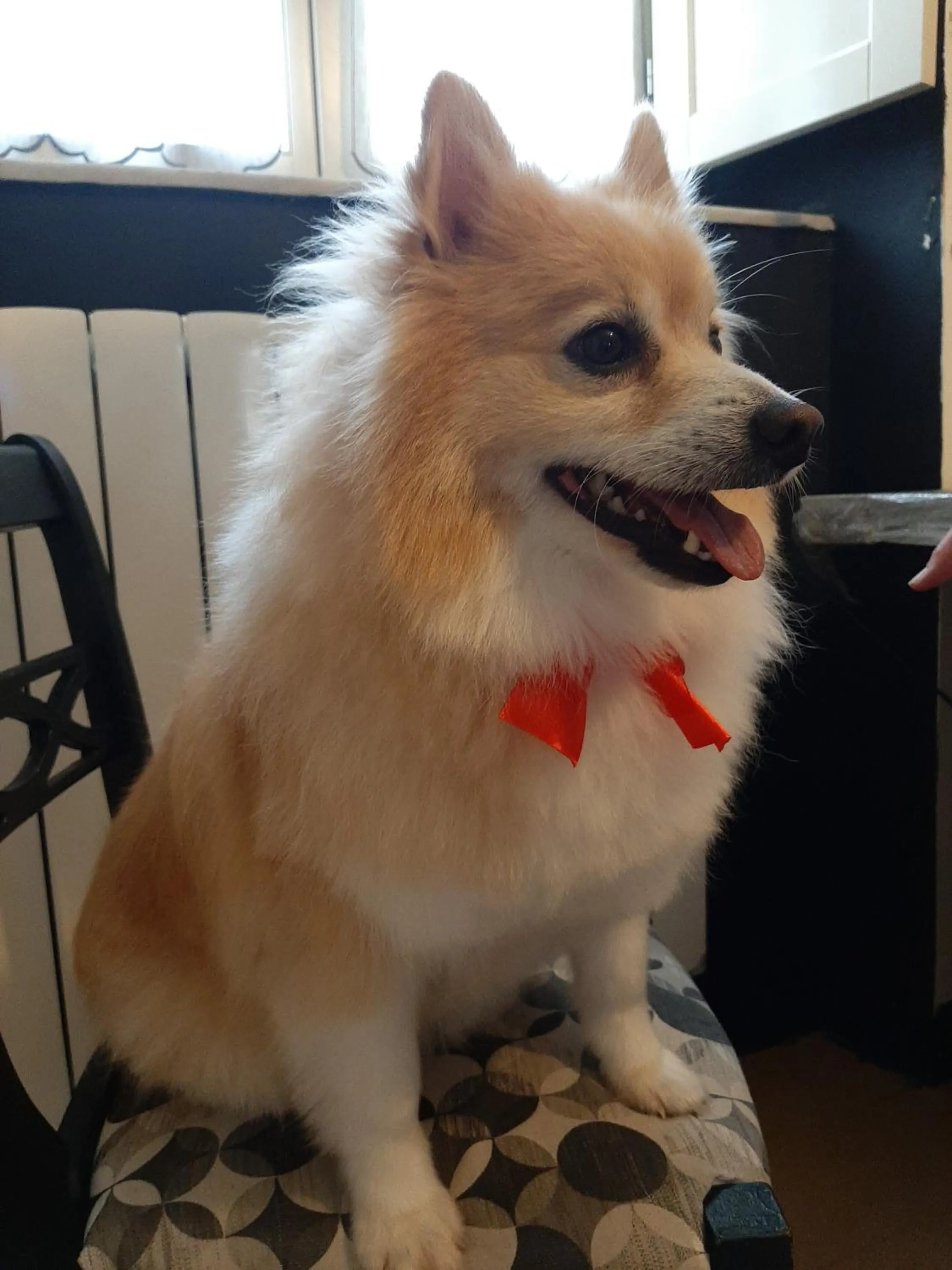 Staff in B&B Principe Calaf 3