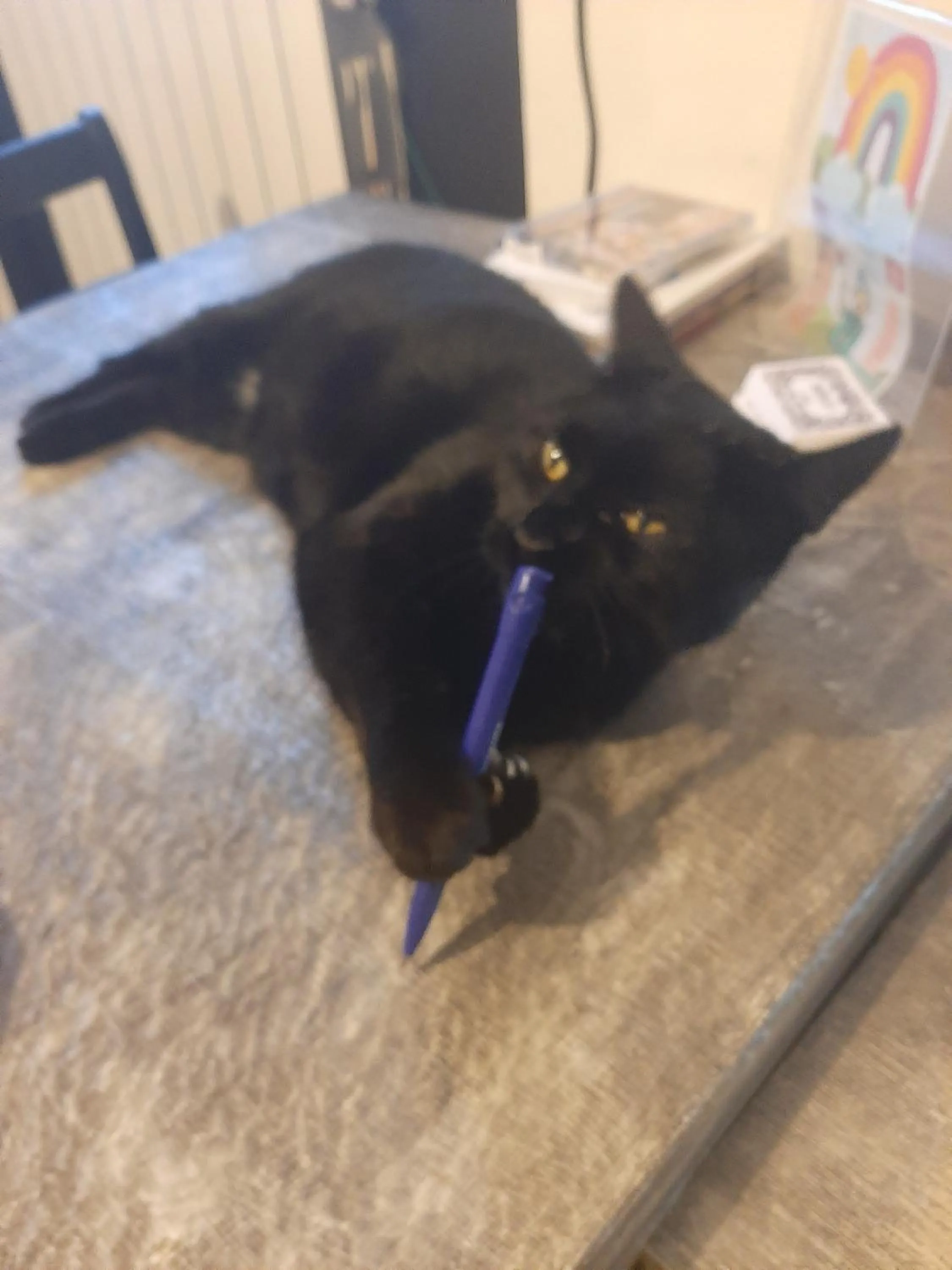 Staff in B&B Principe Calaf 3