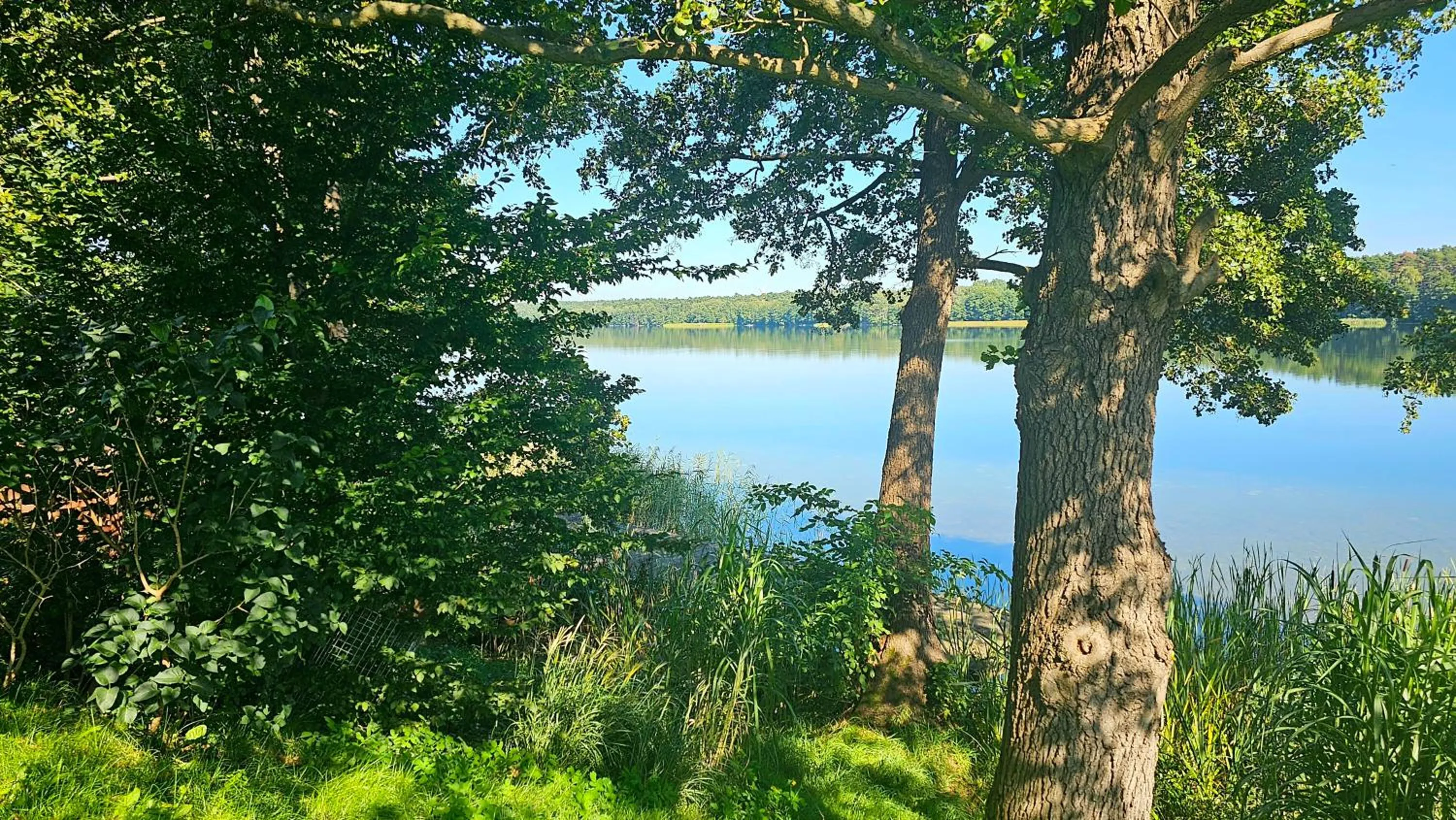Natural landscape in Hotel Sypniewo