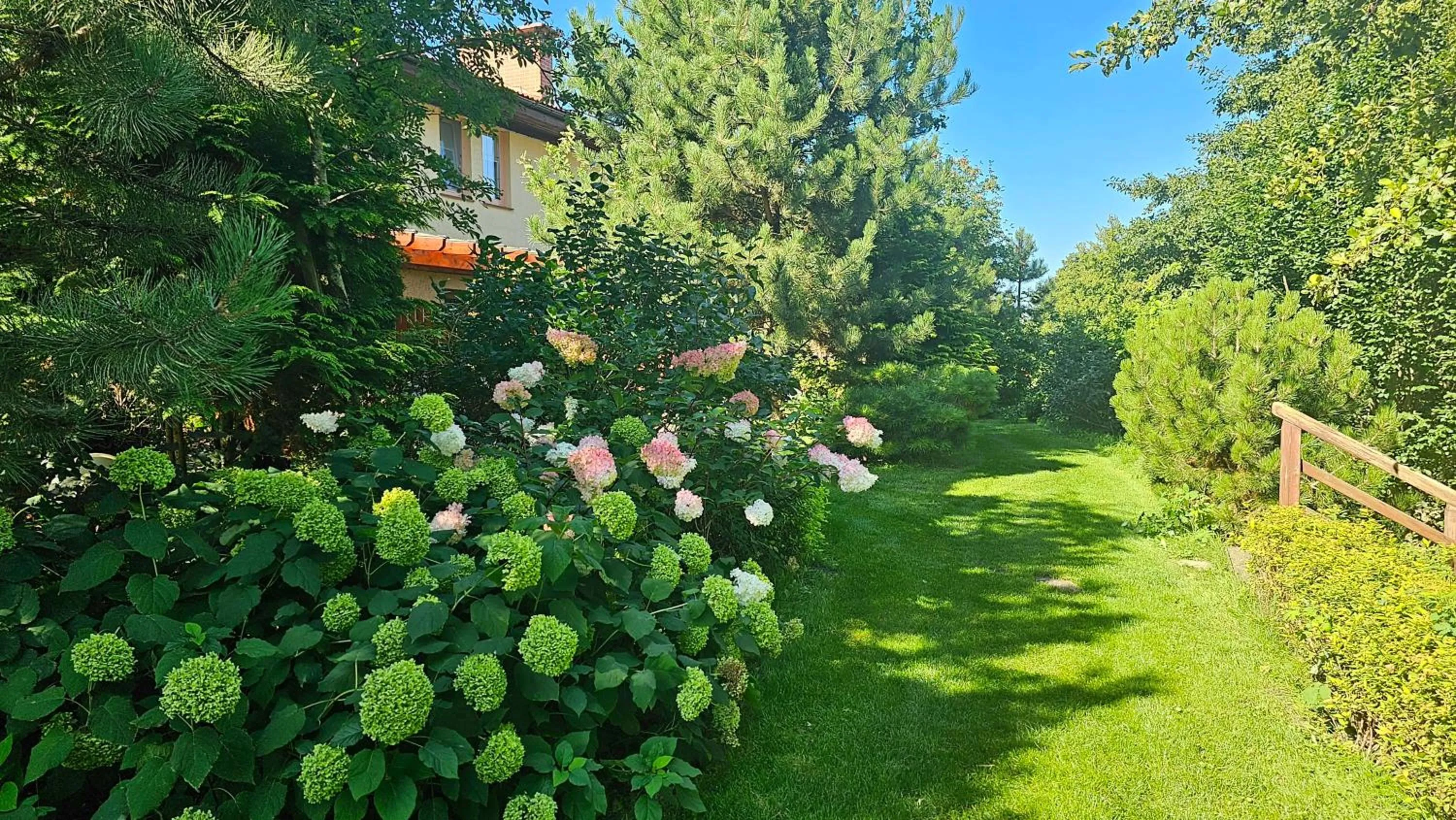 Natural landscape in Hotel Sypniewo