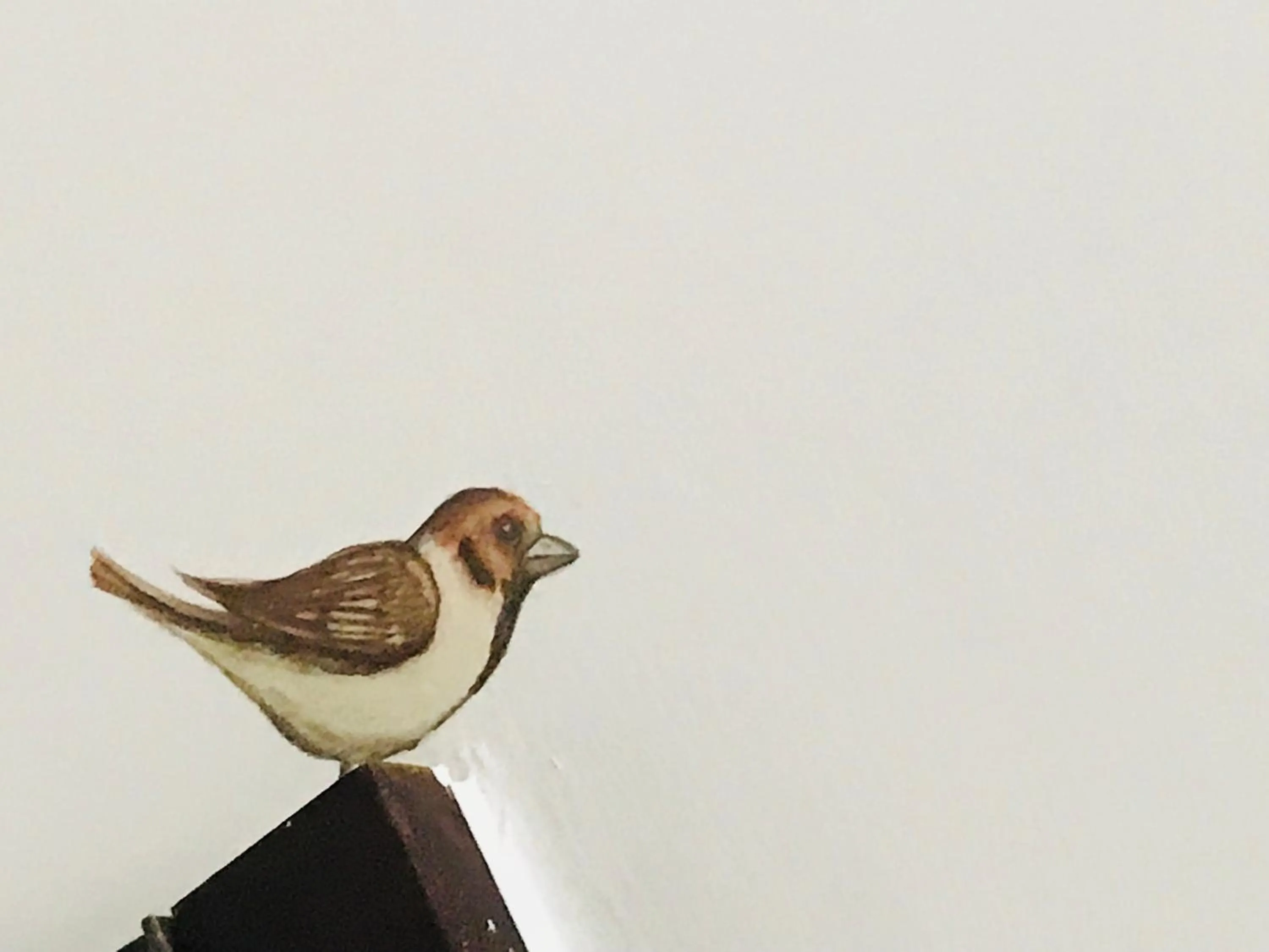 Decorative detail in LH Hotel Arca Street Art