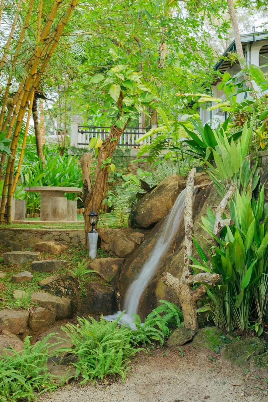 Natural landscape in Villa Birdlake